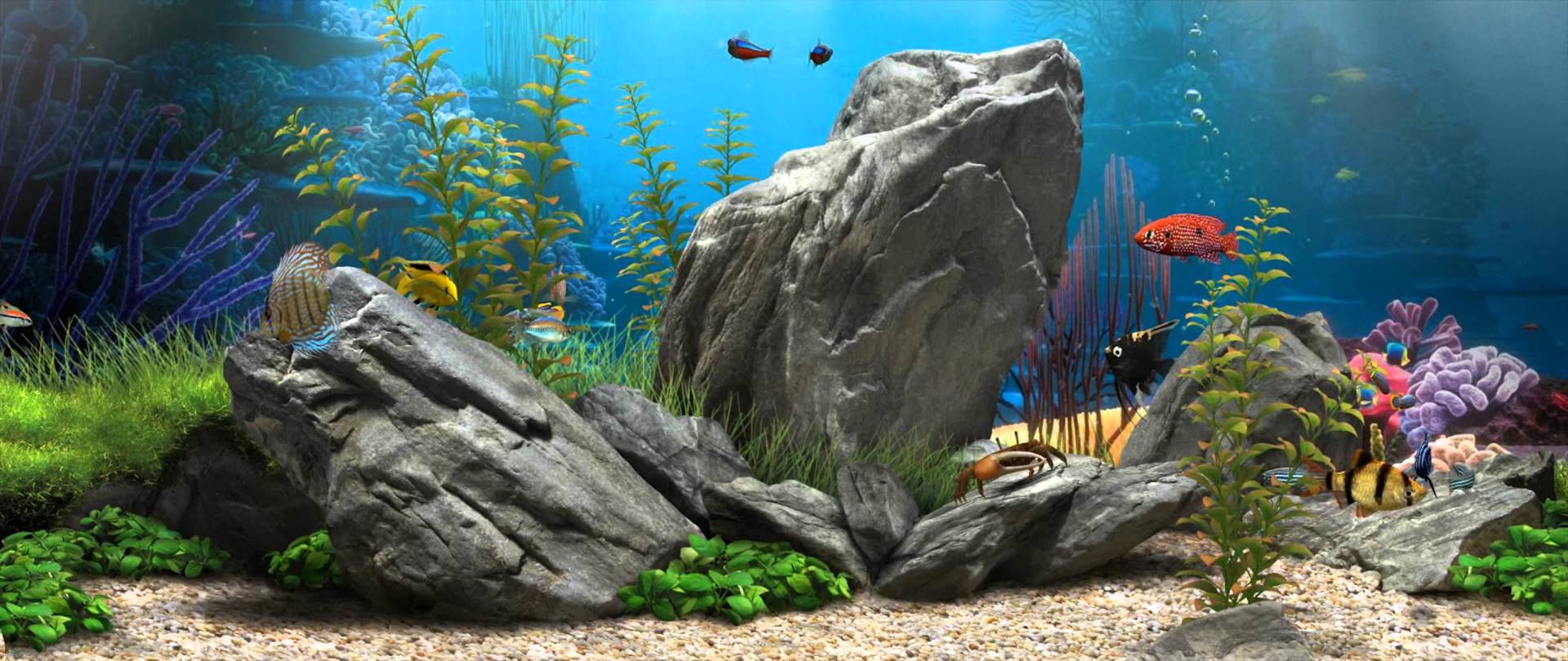 free download 3d marine aquarium virtual fishtank