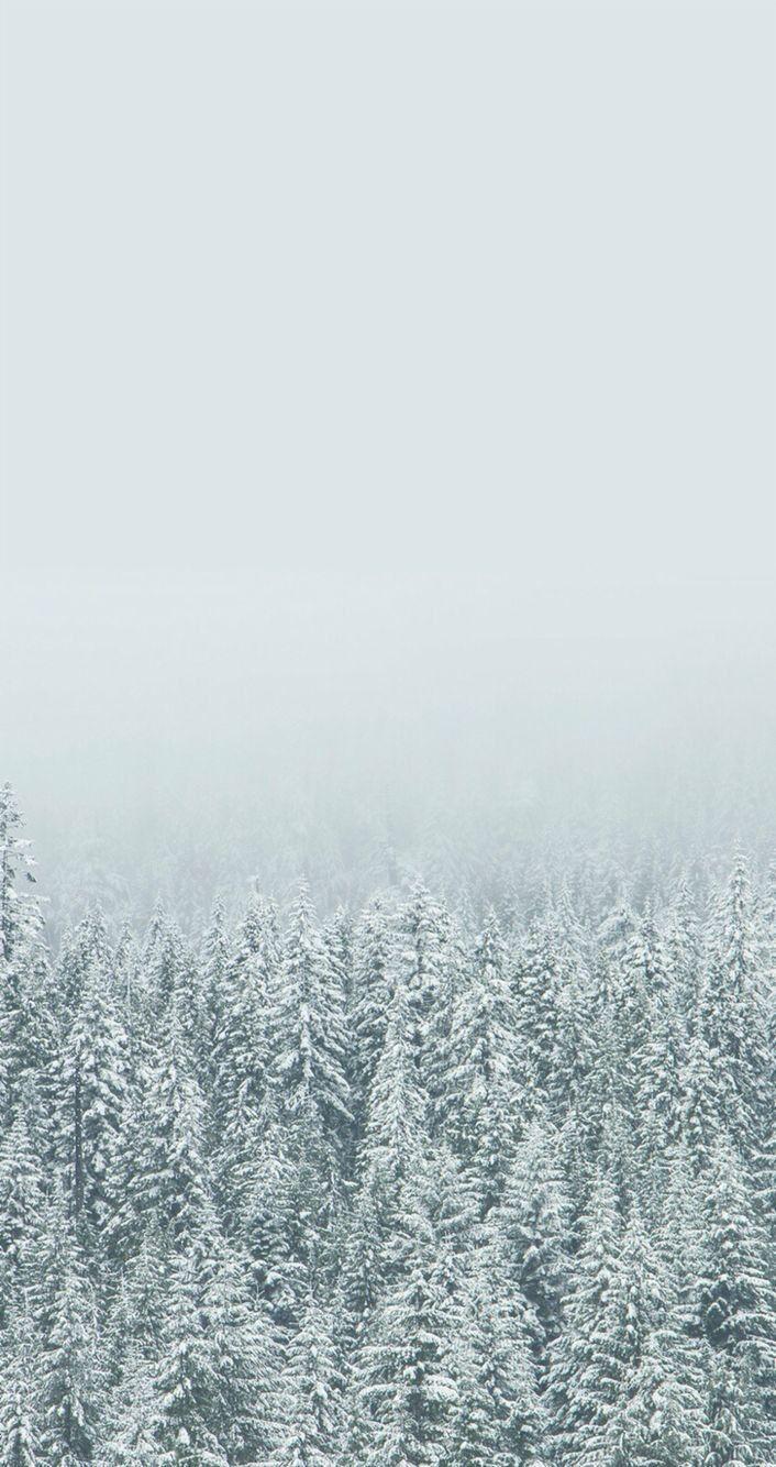 706x1334 Best Of Winter Wallpaper Aesthetic