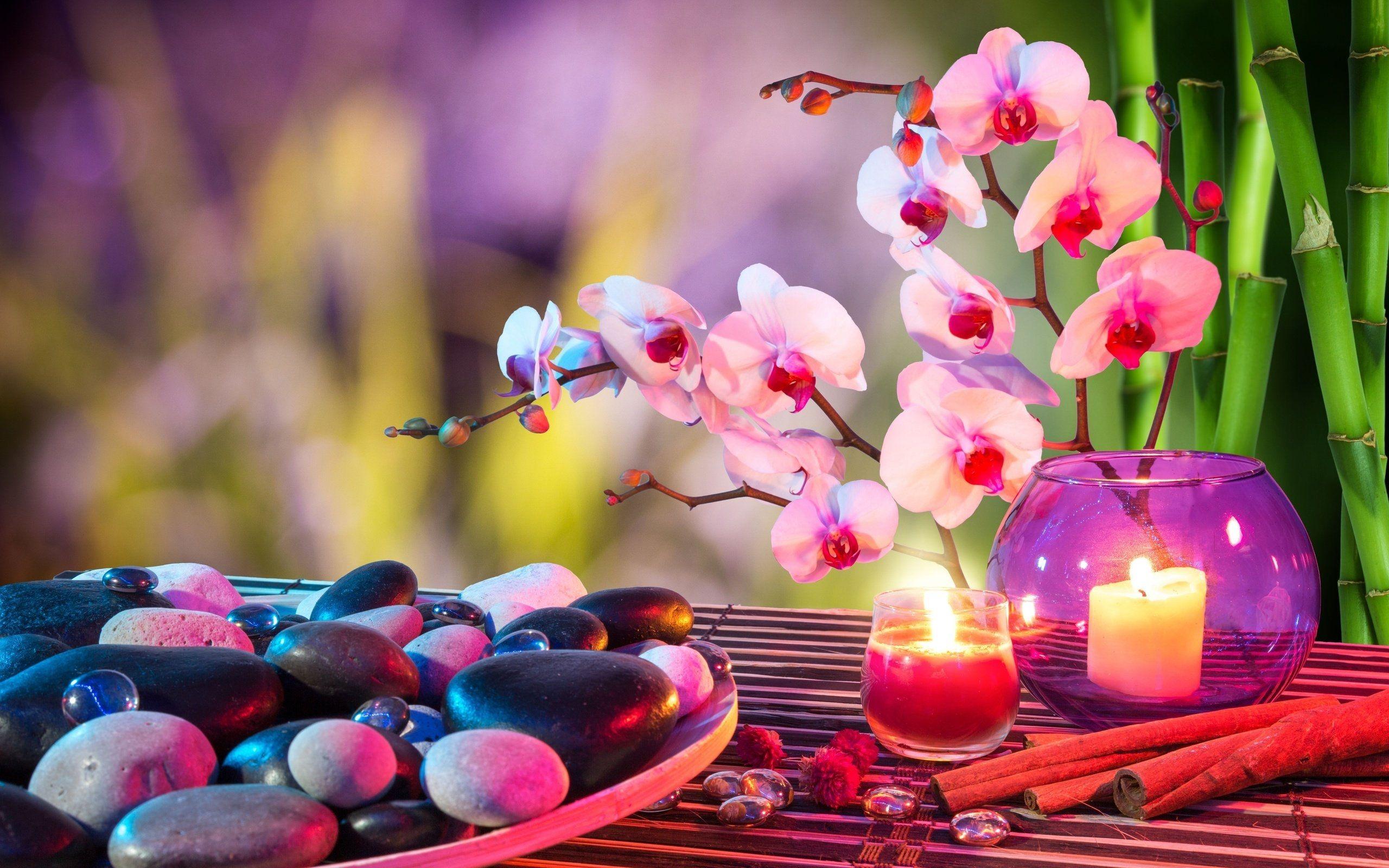 2560x1600 Download 2560x1600 Orchids, Candle, Stones, Medidation, Relaxing