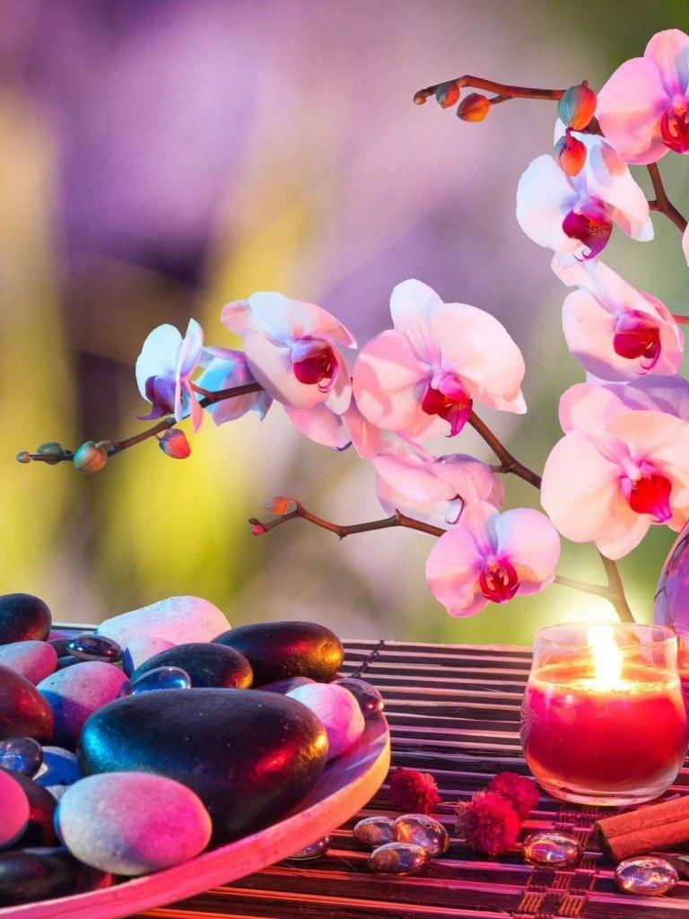 768x1024 Download 768x1024 Orchids, Candle, Stones, Medidation, Relaxing