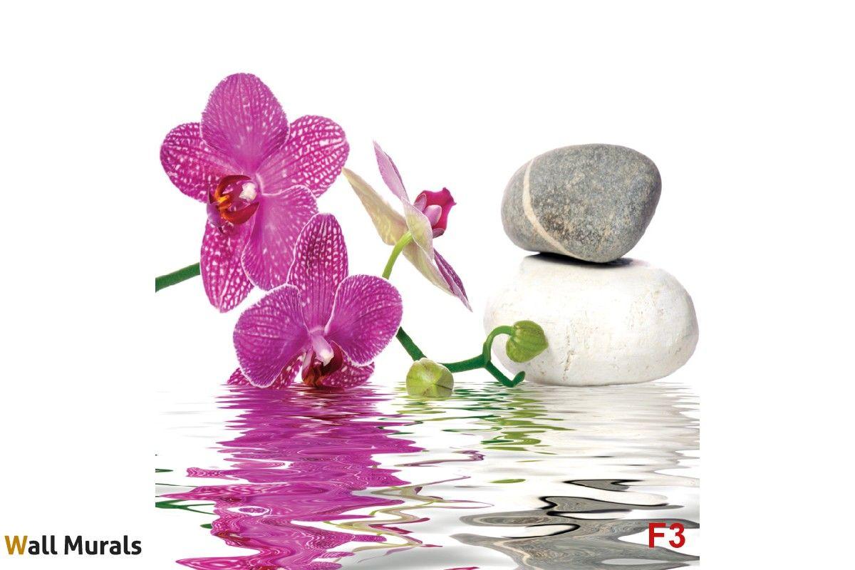1200x800 Wallpaper mural orchid and spa stones in water