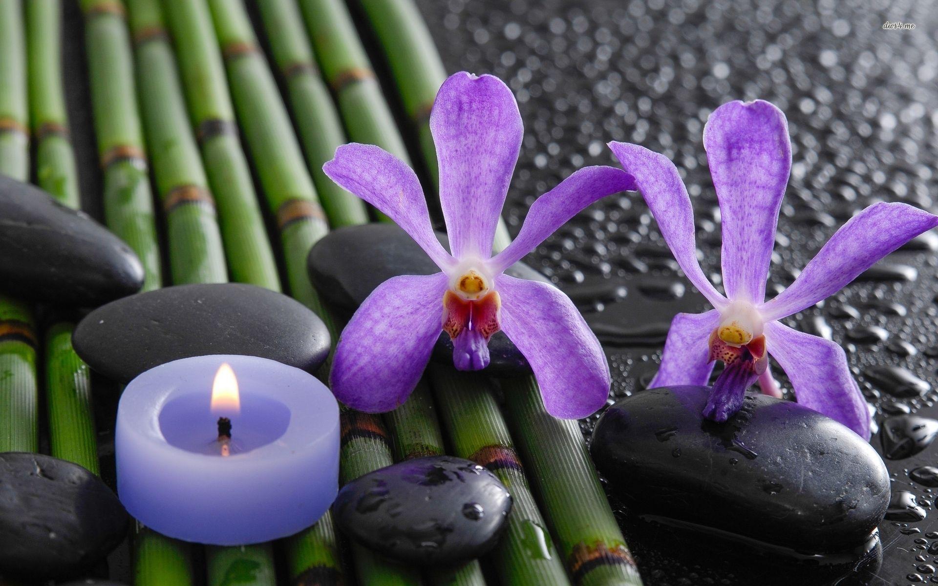 1920x1200 habrumalas: Orchids In Water Wallpaper Image