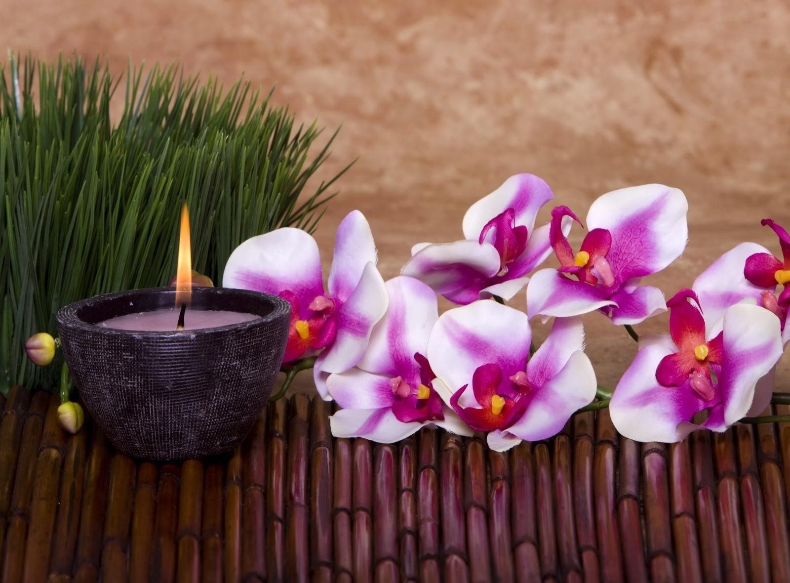 1600x1180 Orchid, Flower, Candle, Grass, Bamboo wallpaper and background