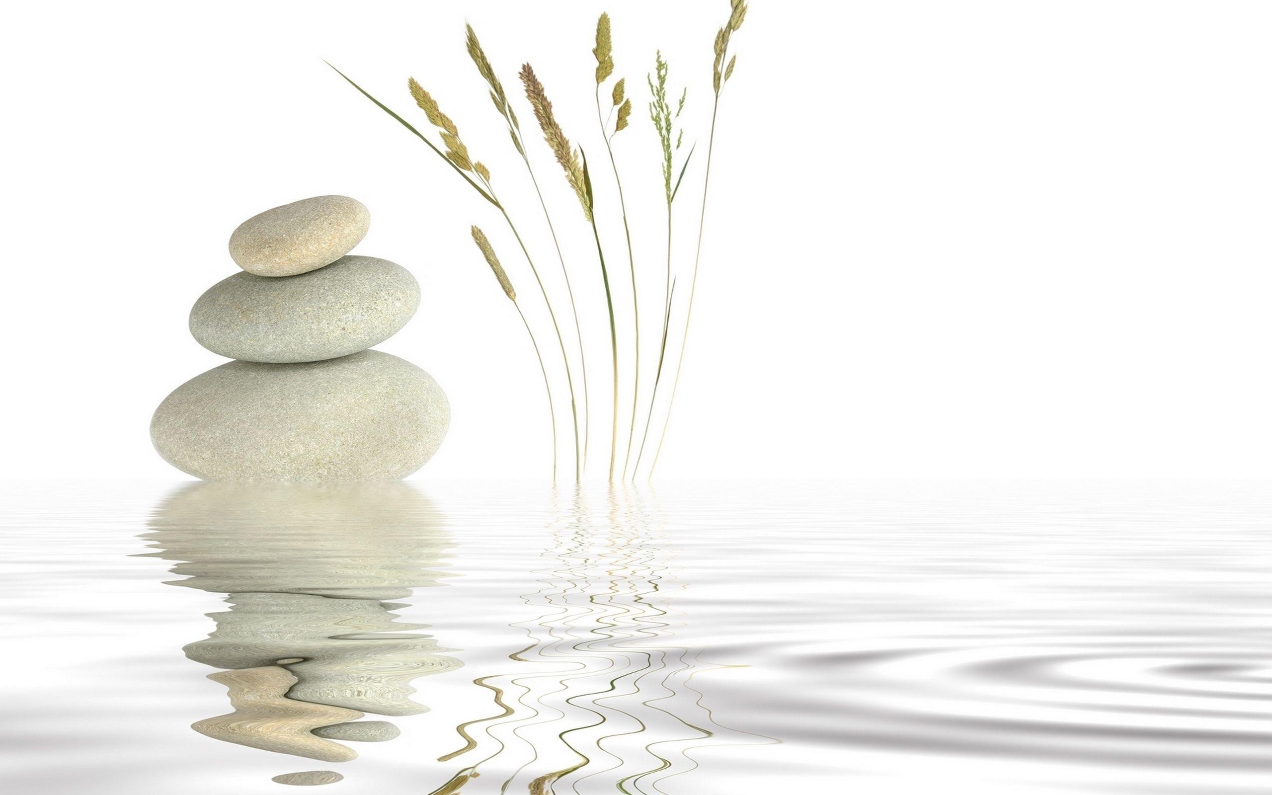 2560x1600 Bamboo and Orchid. Sarah Hill interesting, id:1366541153