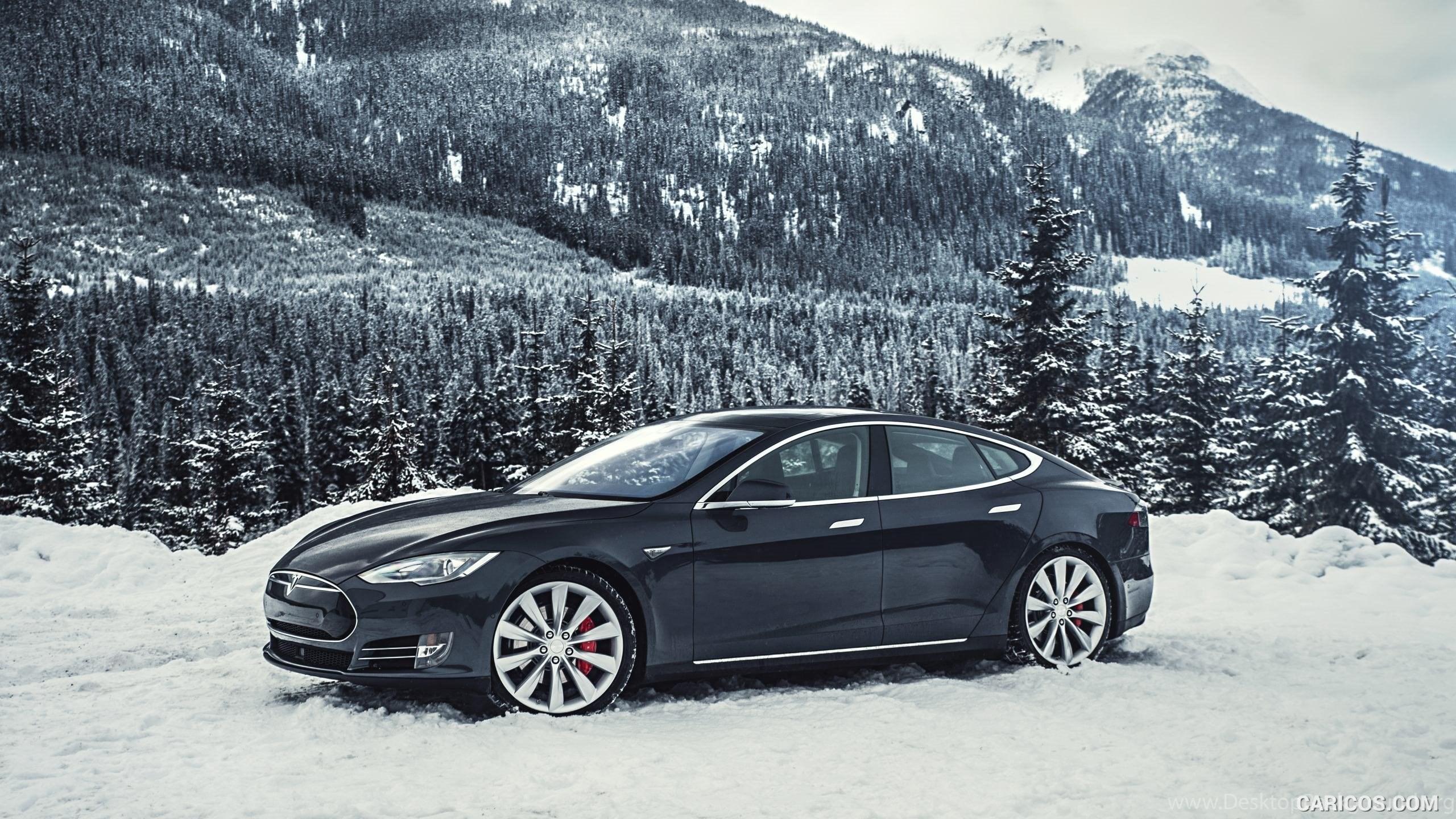 2560x1440 Tesla Model S P85D In Snow Side Desktop Background