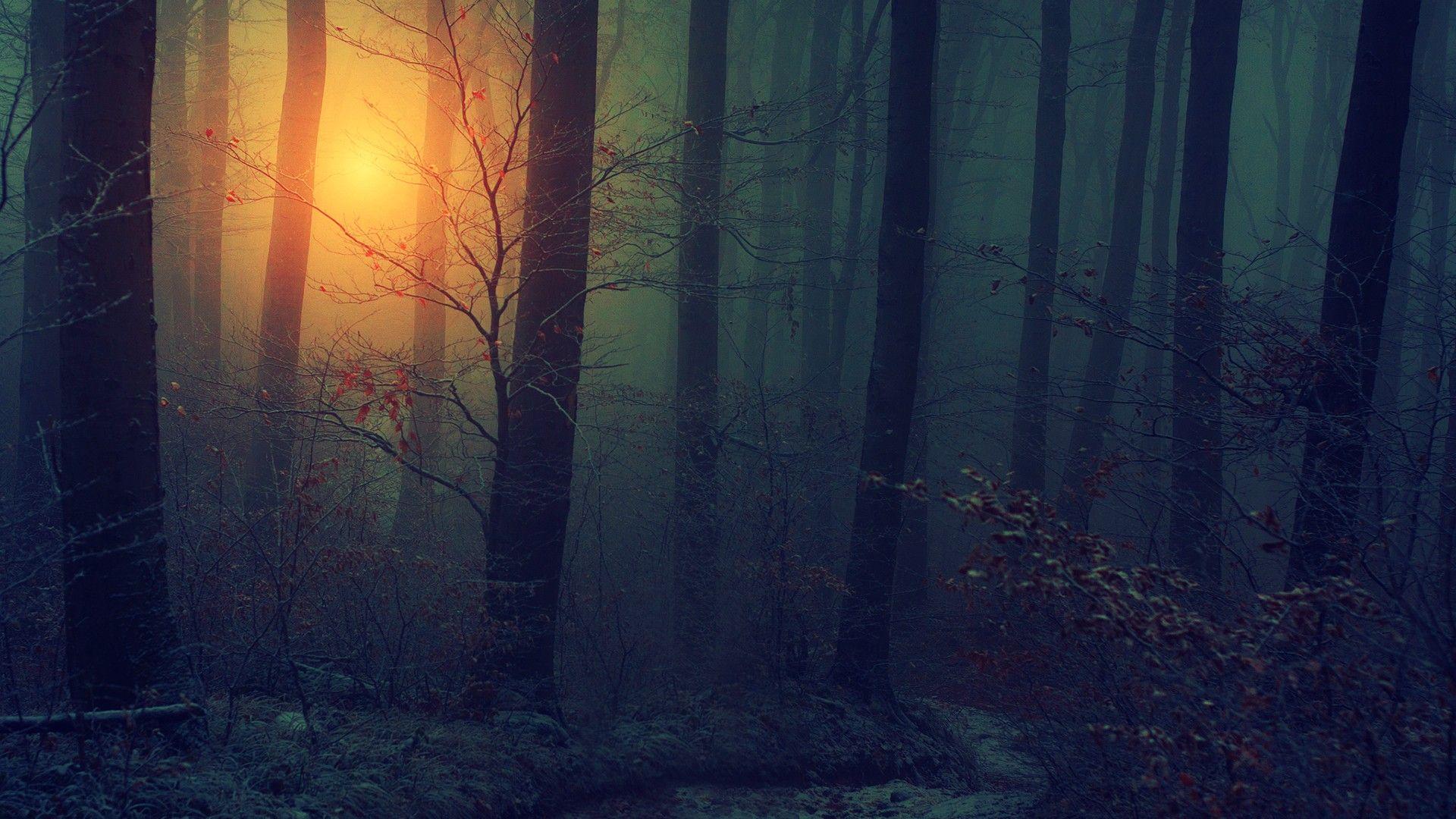 1920x1080 Blurry Wallpaper HD