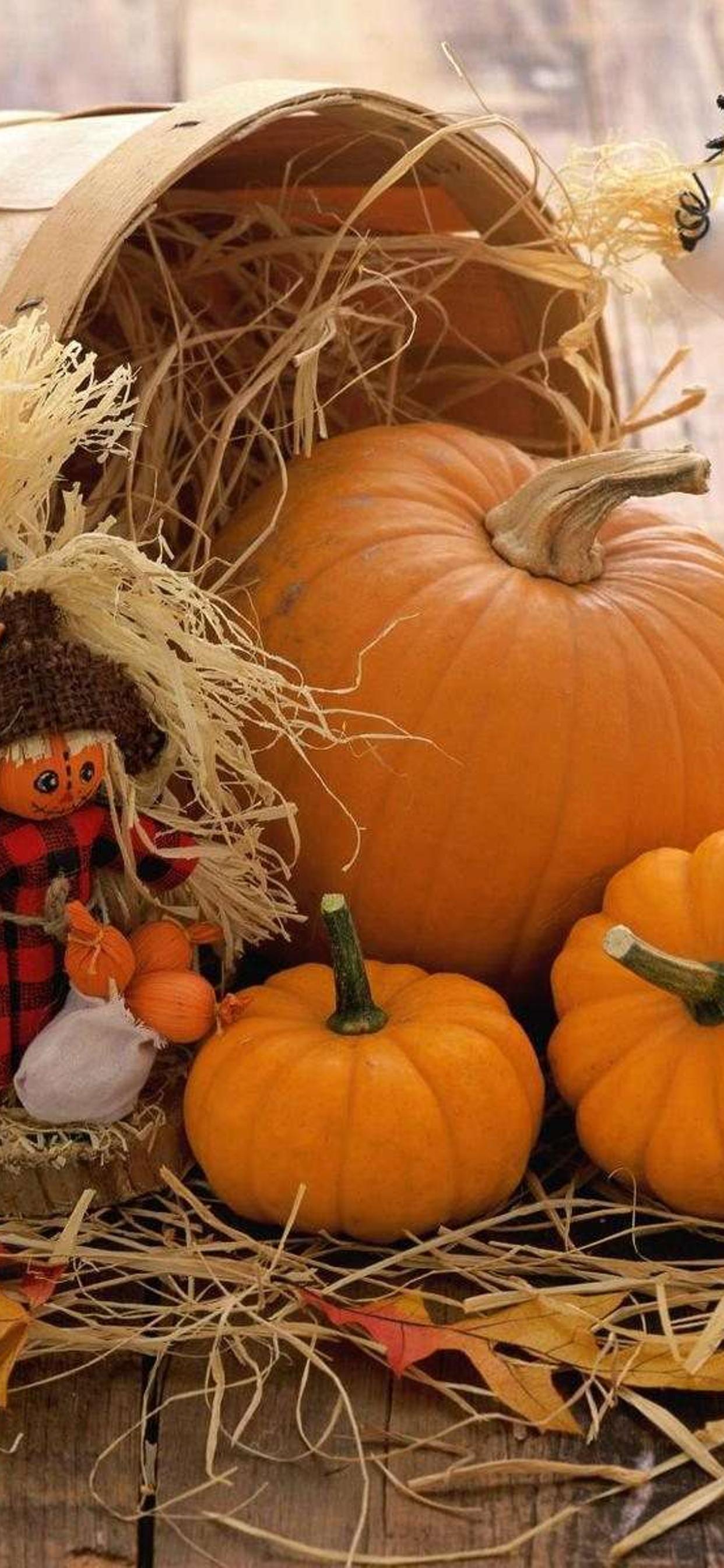 1242x2688 Funny scarecrow and Halloween pumpkins
