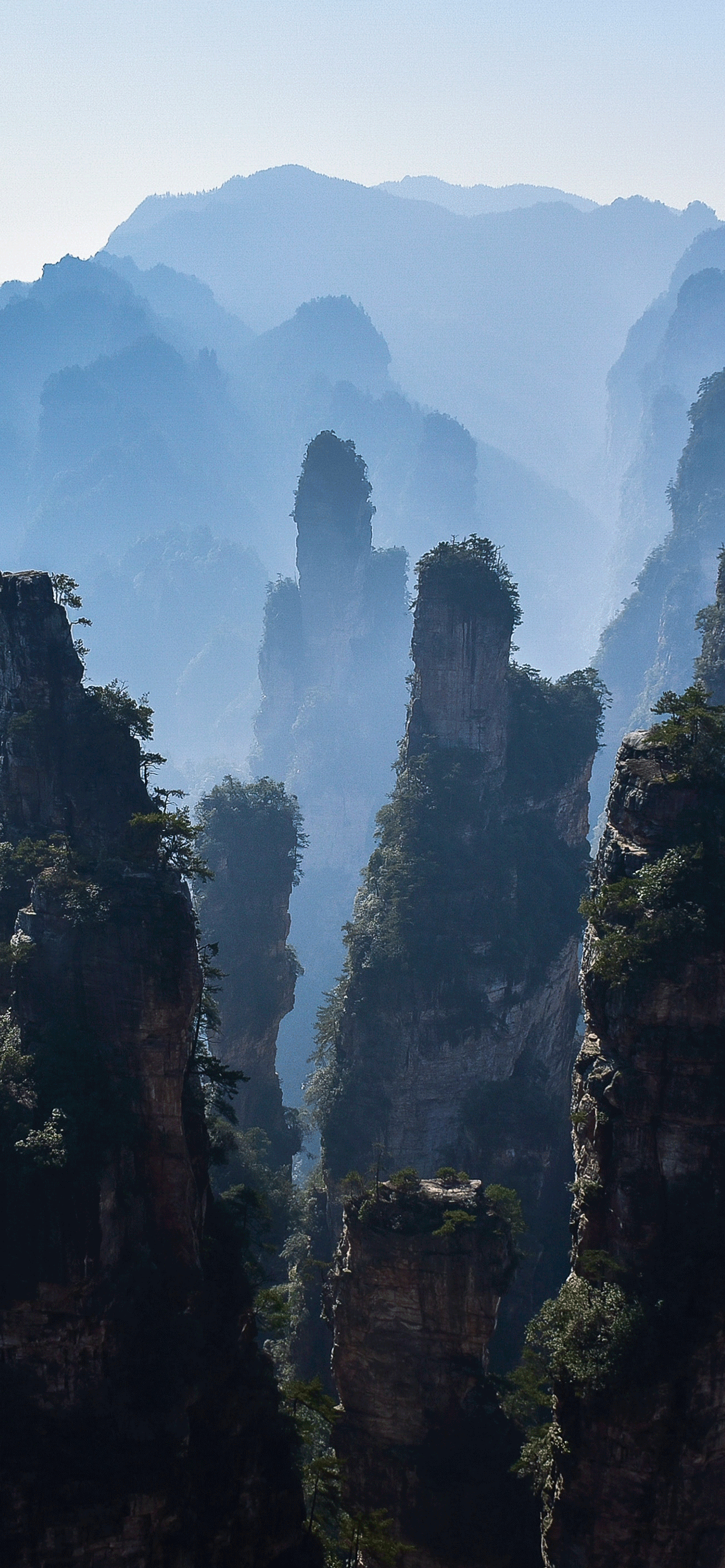 1242x2688 ZhangJiaJie National Park Wallpaper for iPhone Pro Max, X, 6