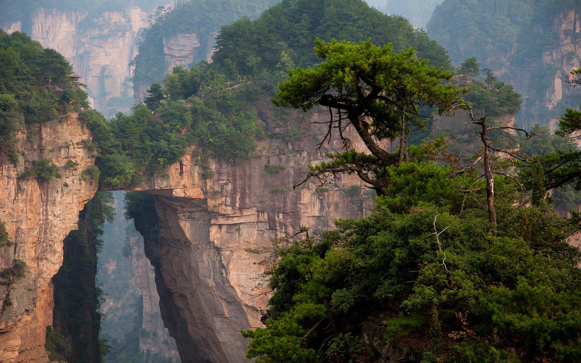 1920x1200 Zhangjiajie Wonders: Mystical Trees and Mountains of China's Landscapex1200