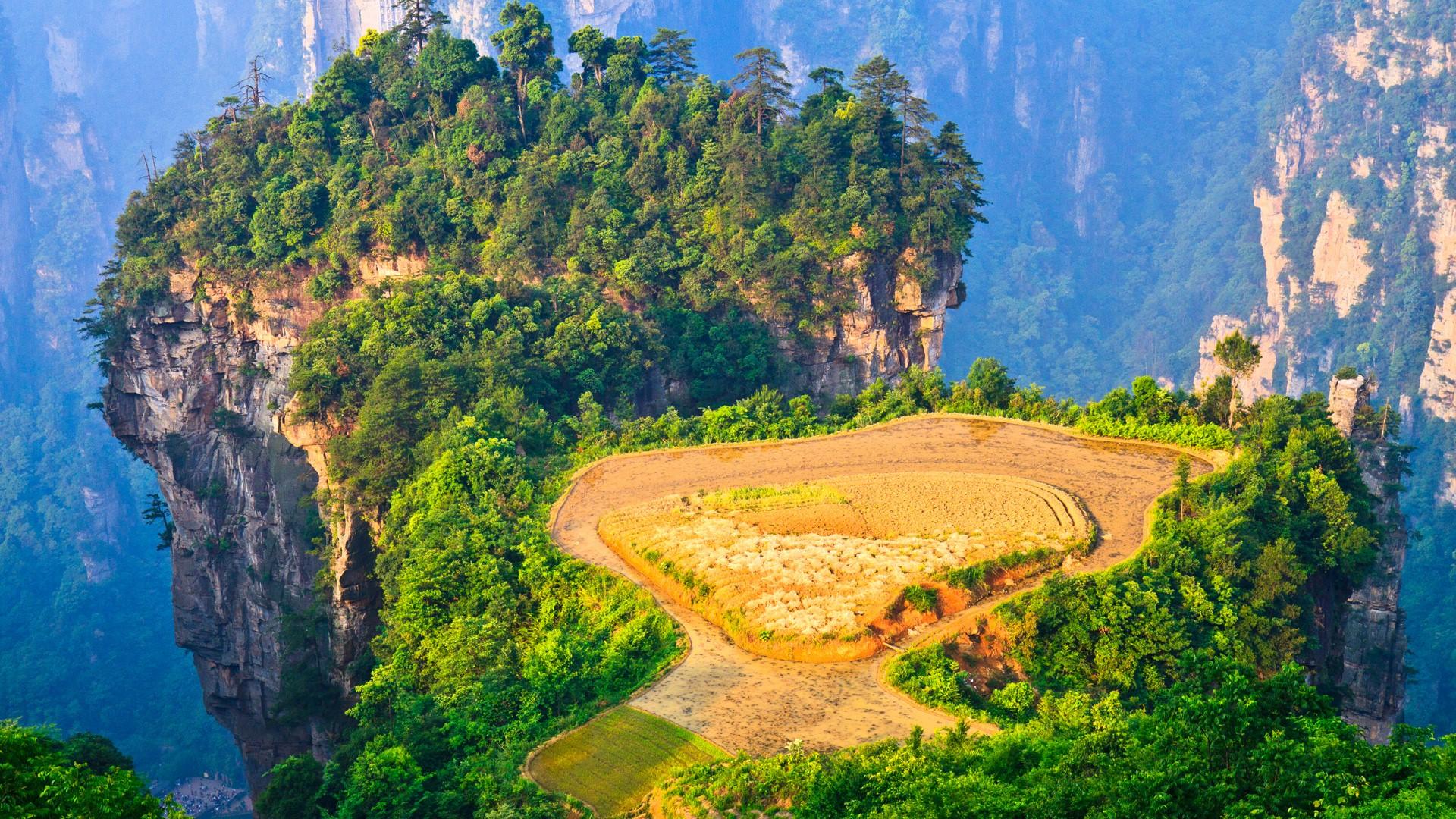 1920x1080 Sunrise over hanging paddy field, Zhangjiajie National Forest Park, Hunan, China. Windows 10 Spotlight Image