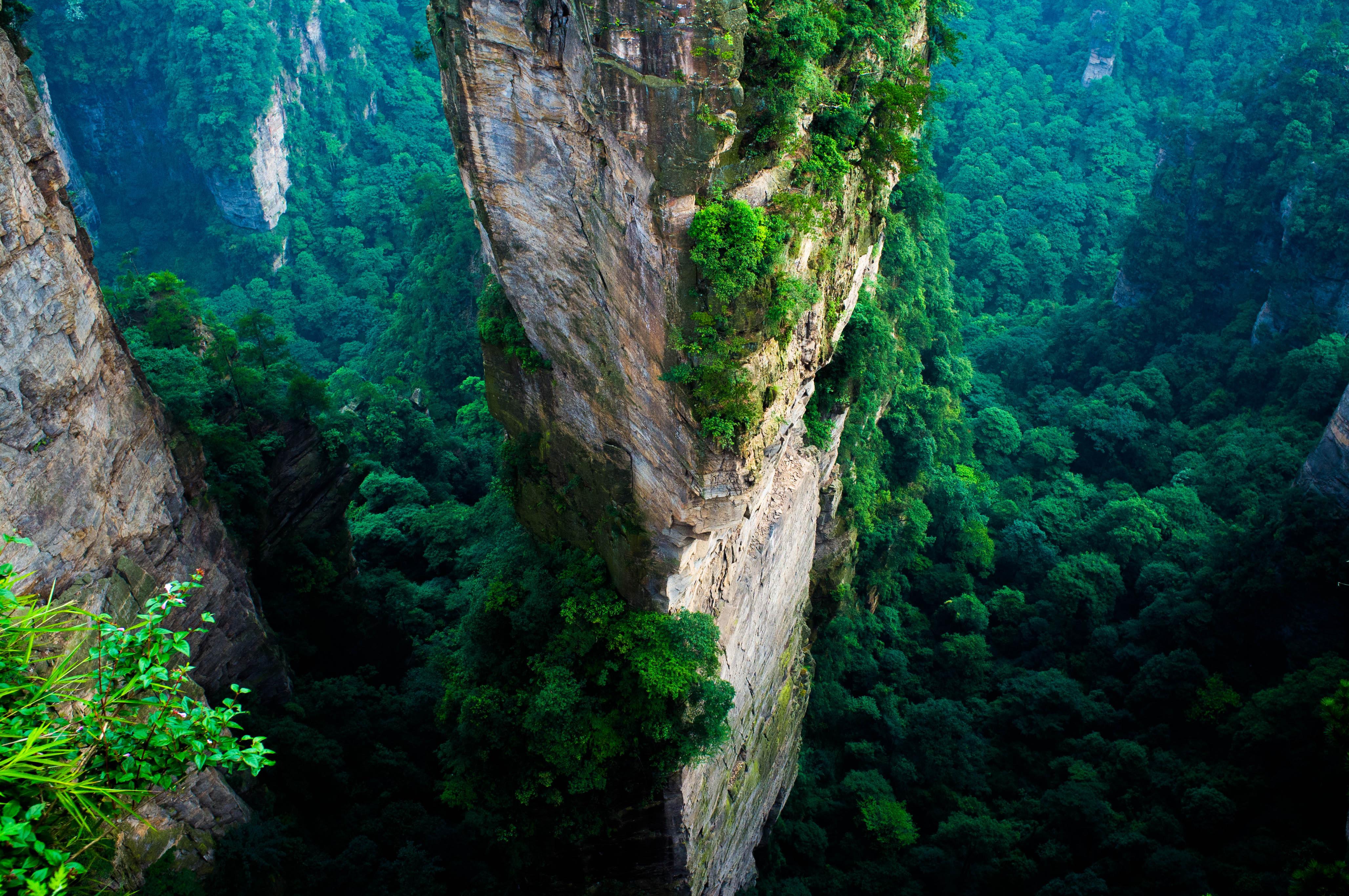4112x2731 Free download zhangjiajie wallpaper [4112x2731] for your Desktop, Mobile & Tablet. Explore Forest Park Wallpaper. Forest Park Wallpaper, Petrified Forest National Park Wallpaper, Wallpaper Forest