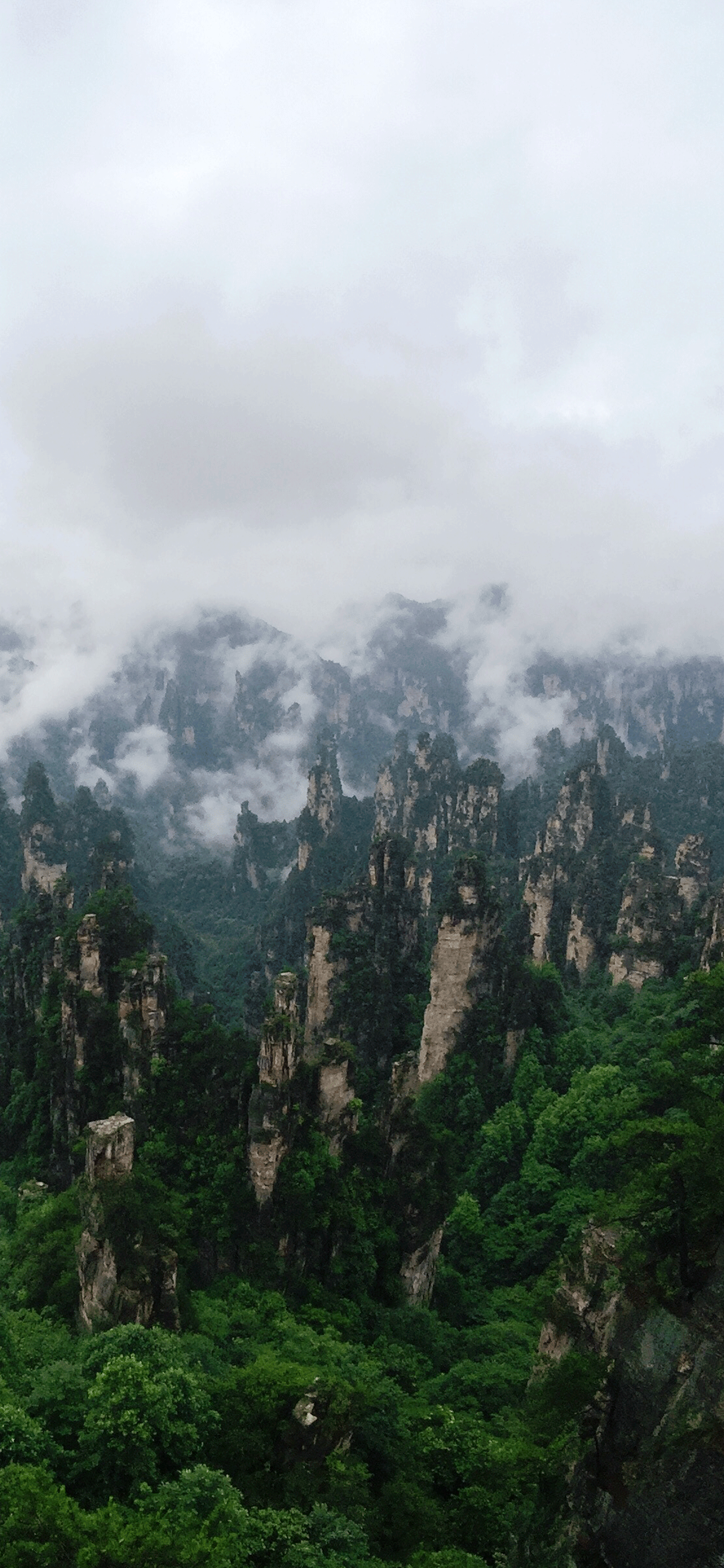 1242x2688 ZhangJiaJie National Park Wallpaper for iPhone Pro Max, X, 6