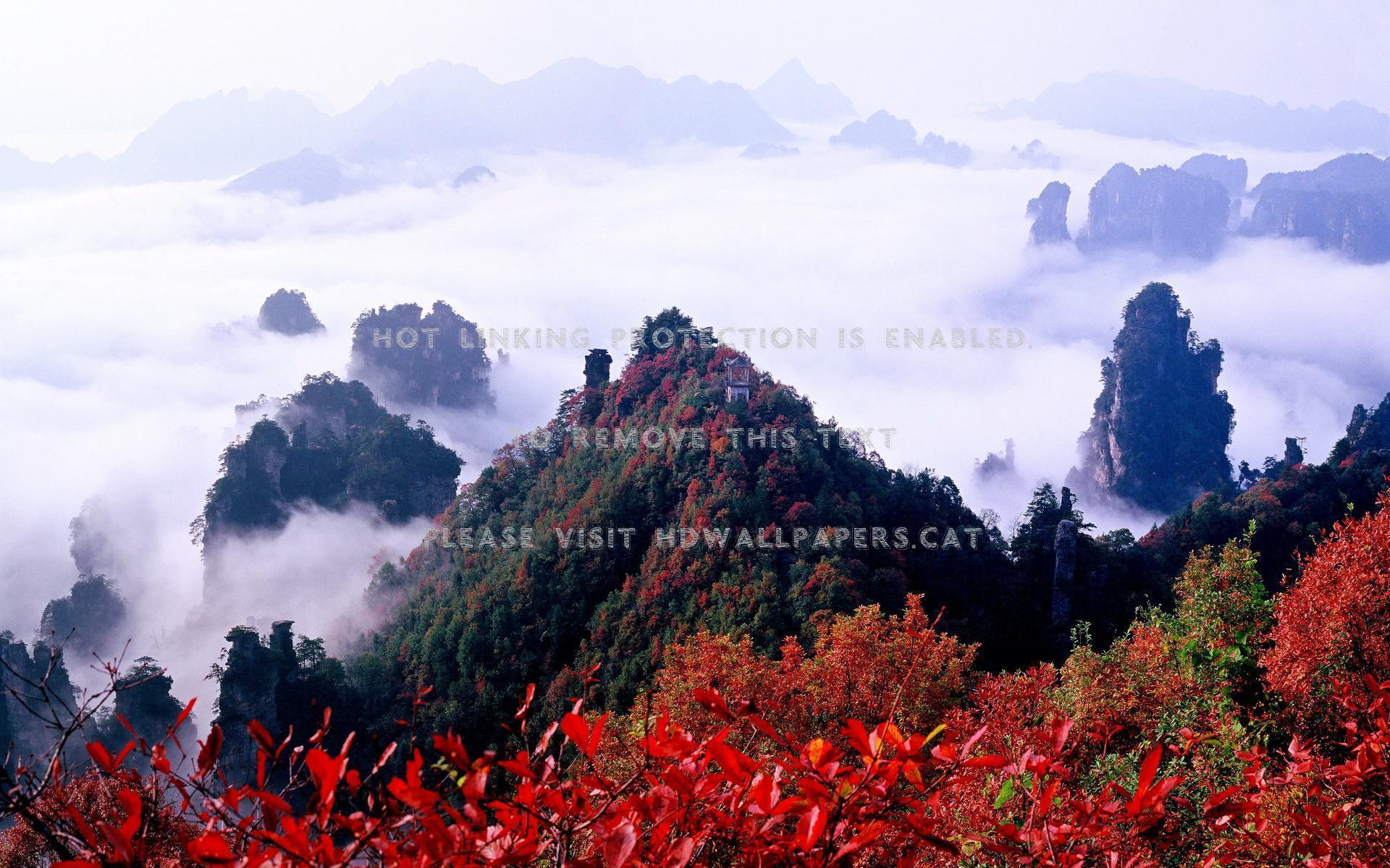 1920x1200 colors of nature china picture zhangjiajie