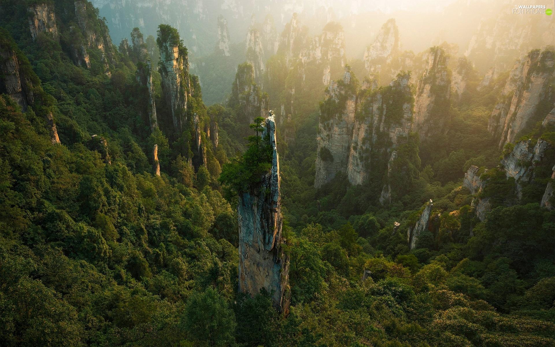 1920x1201 Hunan, China, rocks, Zhangjiajie National Forest Park, forest phone wallpaper: 1920x1201