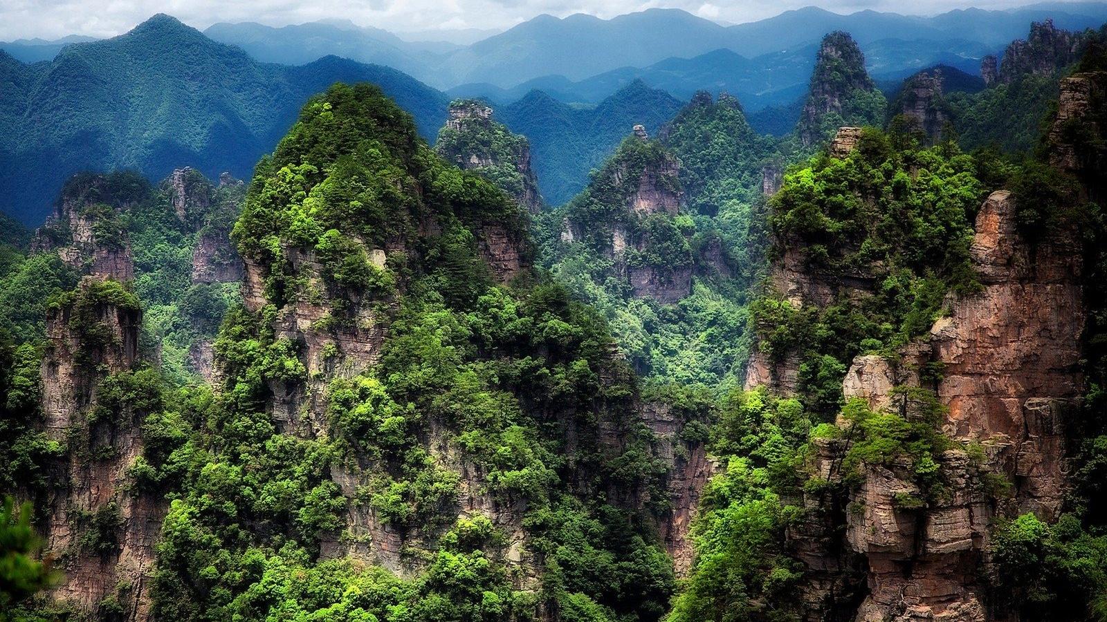 1600x900 Free download Zhangjiajie National Forest Park China Wallpaper and Background [1600x1000] for your Desktop, Mobile & Tablet. Explore Forest Park Wallpaper. Forest Park Wallpaper, Petrified Forest National Park Wallpaper, Wallpaper Forest