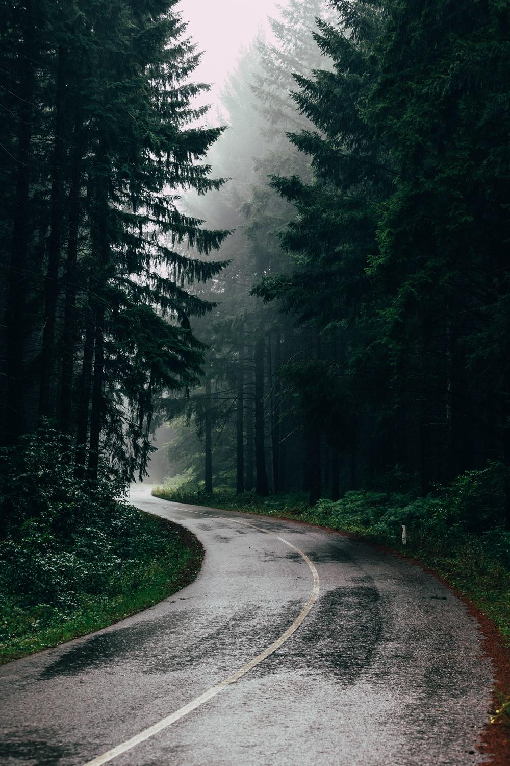 1000x1500 Rain Falling Picture. Download Free Image