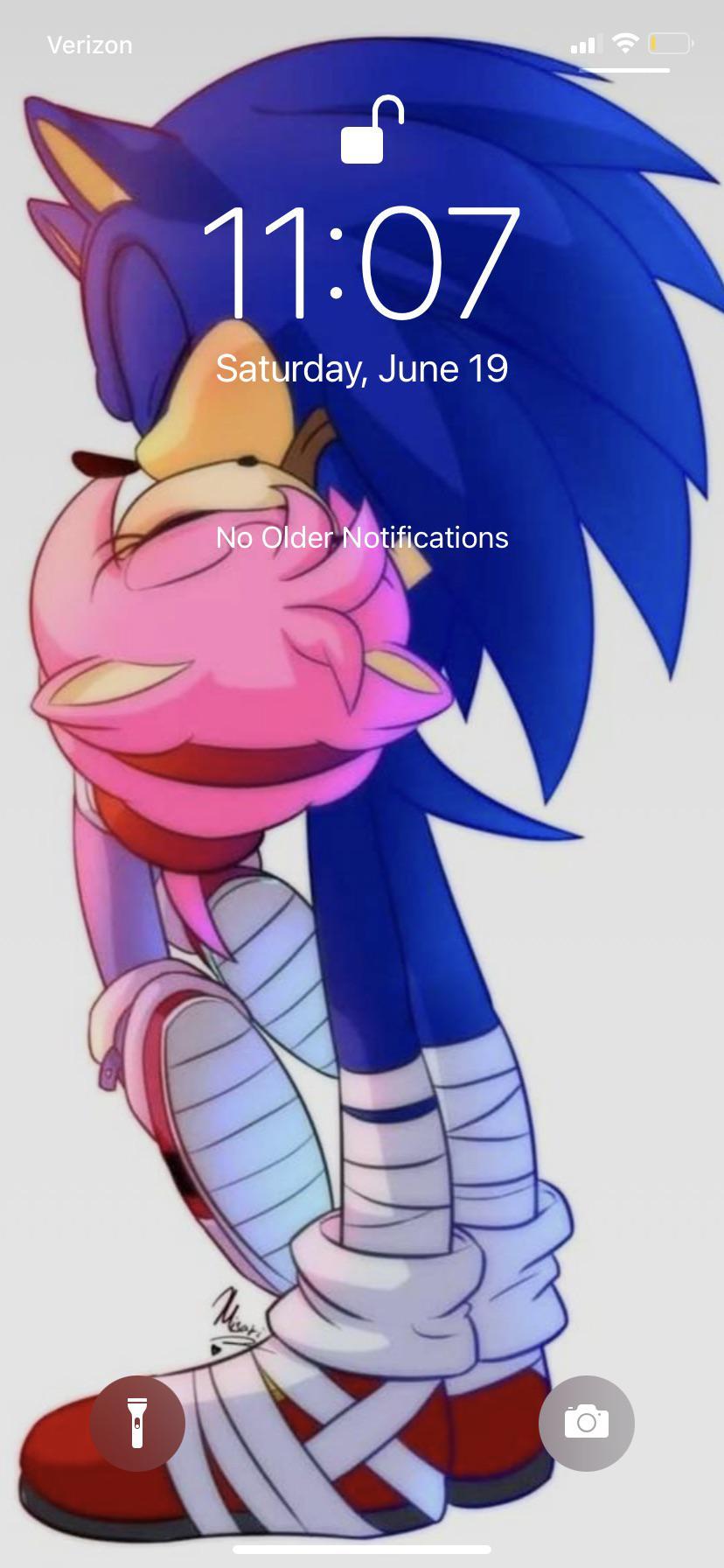 Sonamy Comic - Sonic e Amy fan Art (11249437) - fanpop