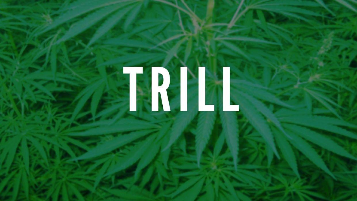 1240x697 Trill Wallpaper Pc Wallpaper Directory