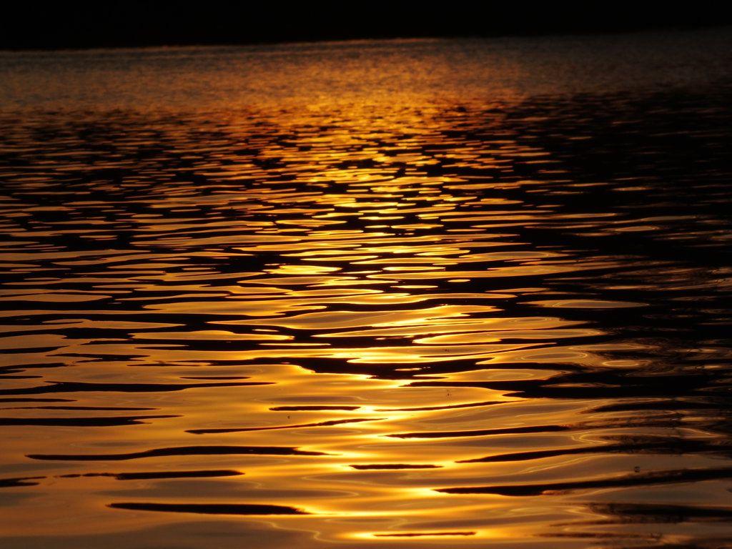 1024x768 Liquid gold