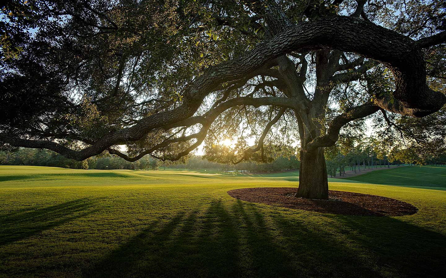 1440x900 Masters Golf Wallpaper, HD Masters Golf Background