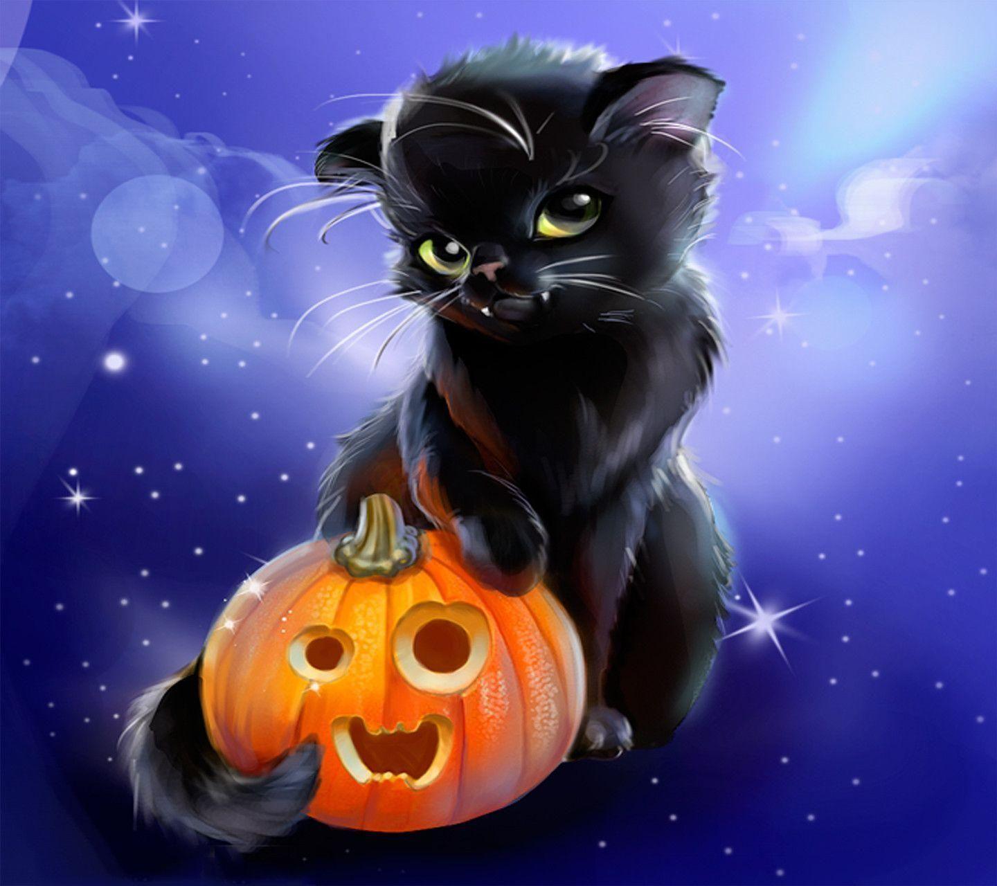 Halloween Black Cat  Cats  Animals Background Wallpapers on Desktop Nexus  Image 2035097