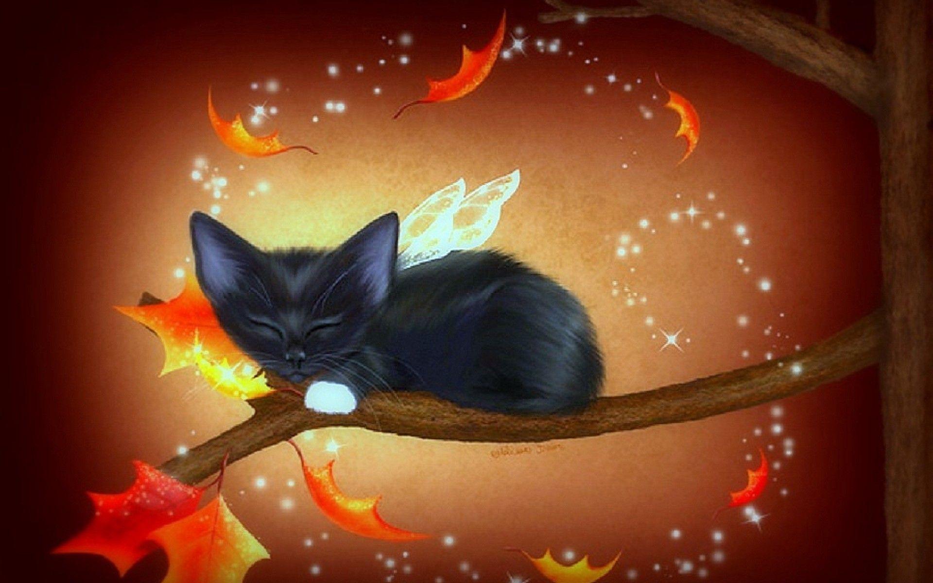 1920x1200 Cat Wallpaper For Halloween 2020 (High Quality Resolution)