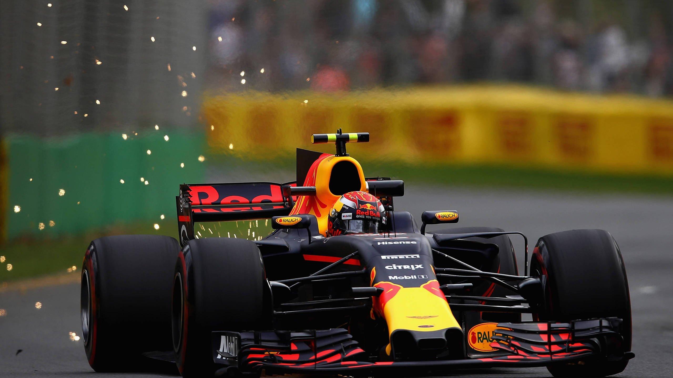2560x1440 Max Verstappen Wallpaper