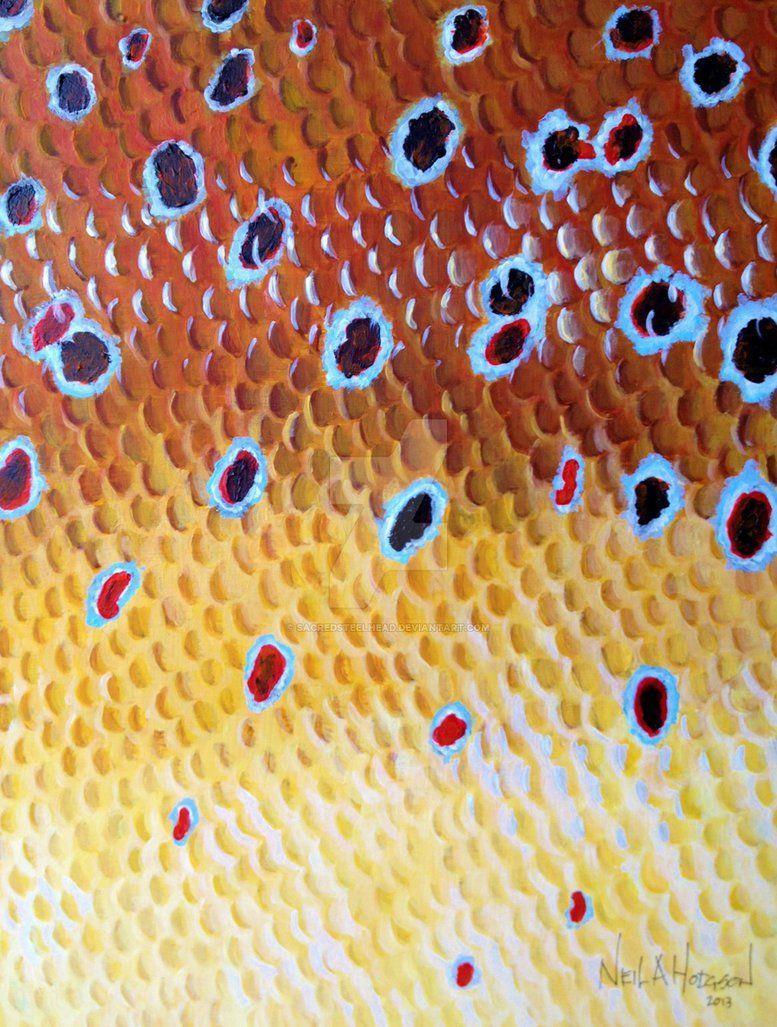 777x1027 Trout iPhone Wallpaper