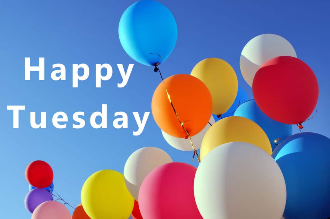 1156x768 Funny Tuesday Wallpaper
