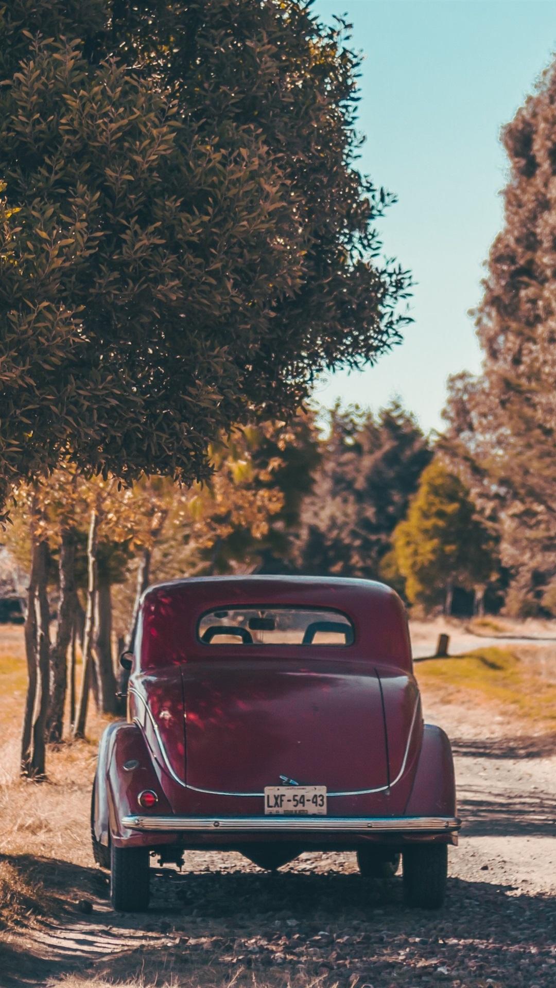 1080x1920 Red Retro Car Rear View, Man, Trees, Autumn 1080x1920 IPhone 8 7 6 6S Plus Wallpaper, Background, Picture, Image