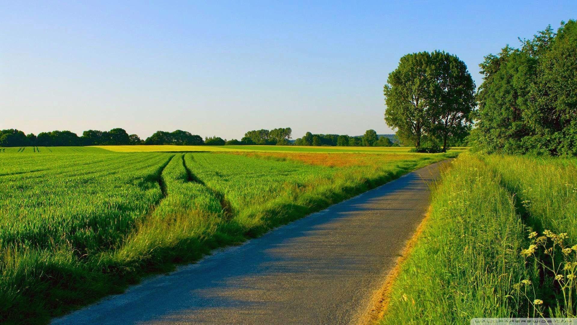 1920x1080 Hd Wallpaper for Laptop Of Nature Awesome HD Wallpaper Nature