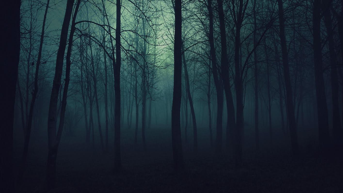 1415x796 Haunted Forest[1920x1080]