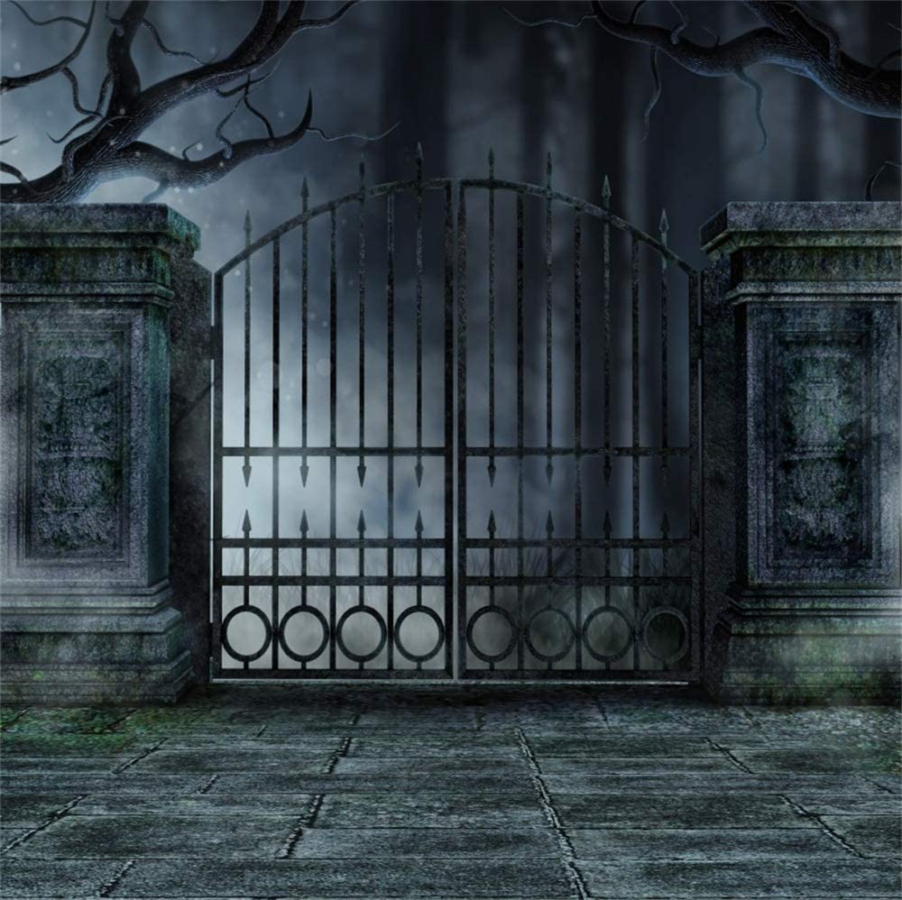 1000x998 Amazon.com : LFEEY 10x10ft Old Iron Door Fence Halloween Backdrops for Photographers Scary Aged Ghost Haunted Castle Gate Background for Photo Videos Wallpaper Photo Studio Prop