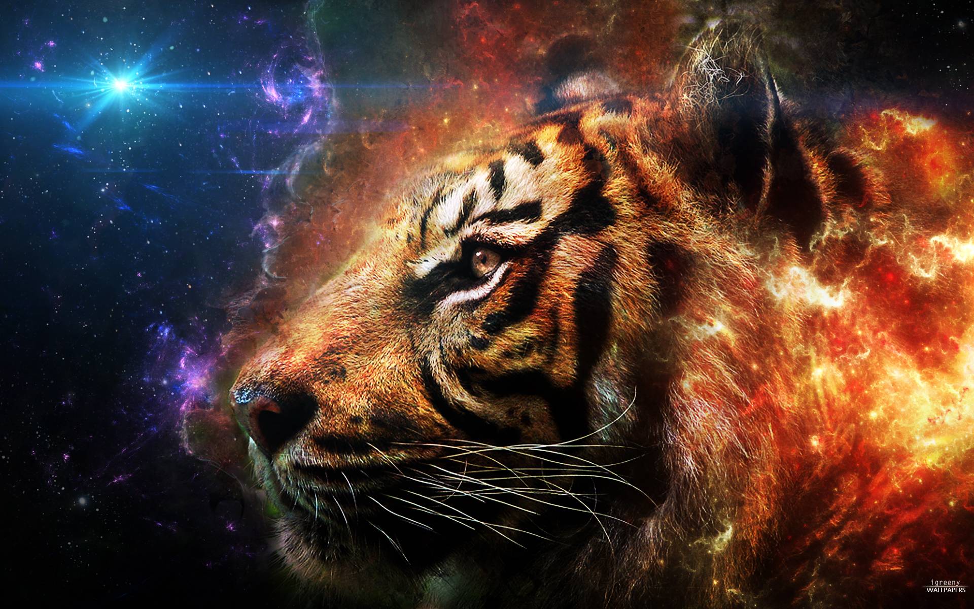 Galaxy Tiger Wallpapers - Top Free Galaxy Tiger Backgrounds -  WallpaperAccess