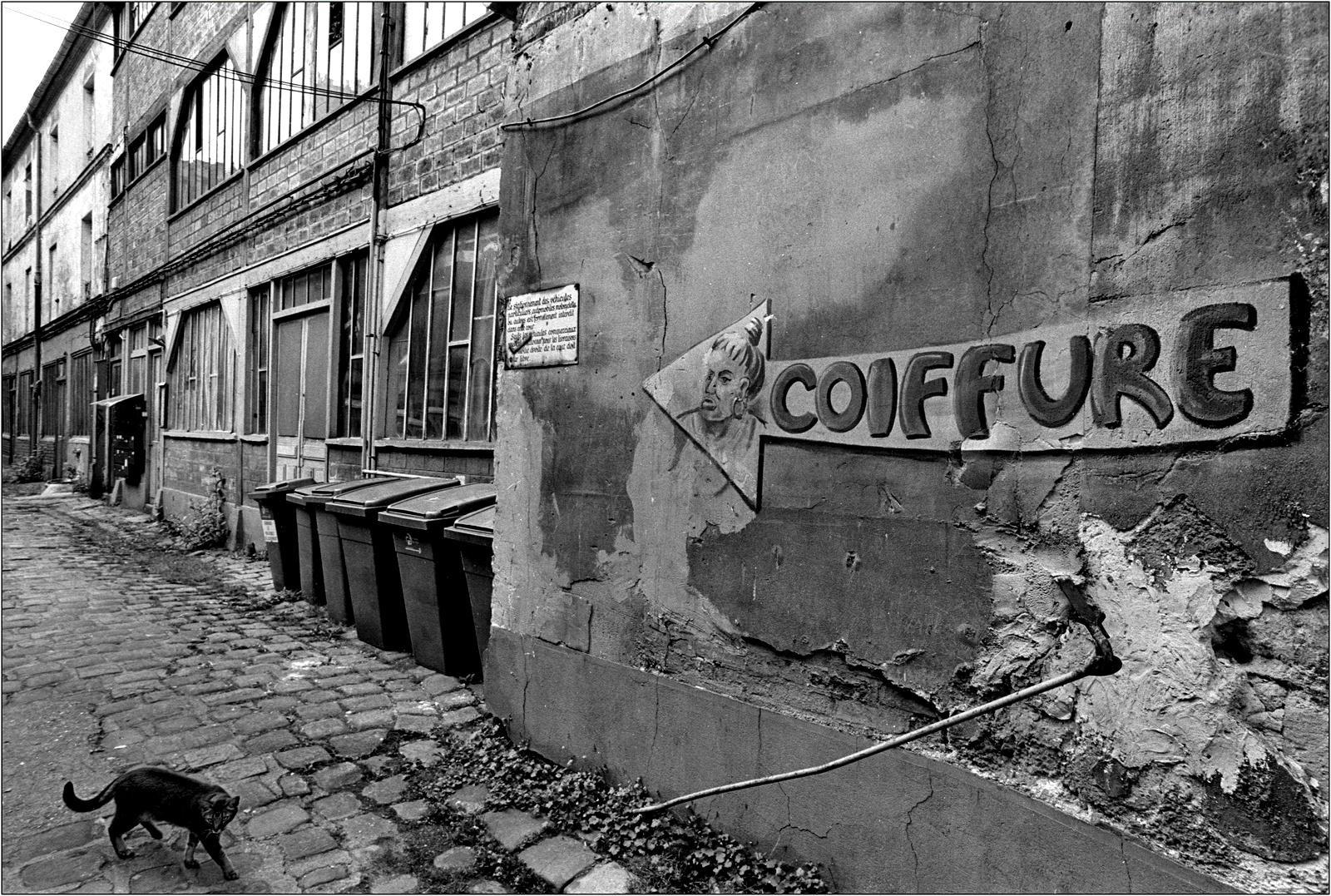 1600x1077 black and white cityscapes streets cats france photographers monochrome artwork french james lapett High Quality Wallpaper, High Definition Wallpaper