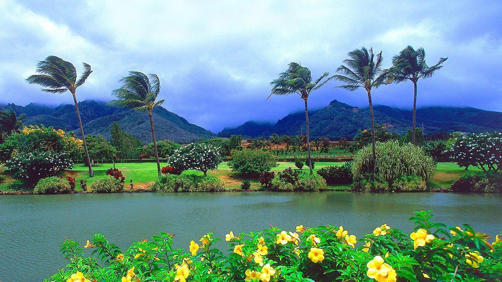 1600x900 Hawaii Tourismus Download Kostenlos