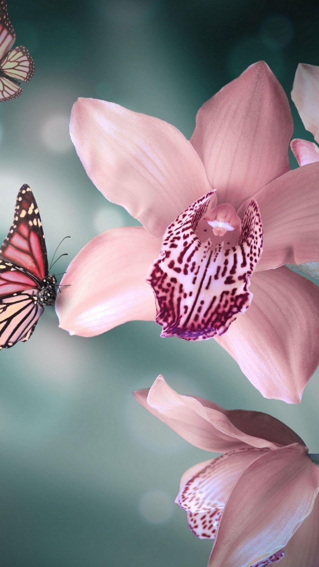 1080x1920 Orchid Flower iPhone Wallpaper