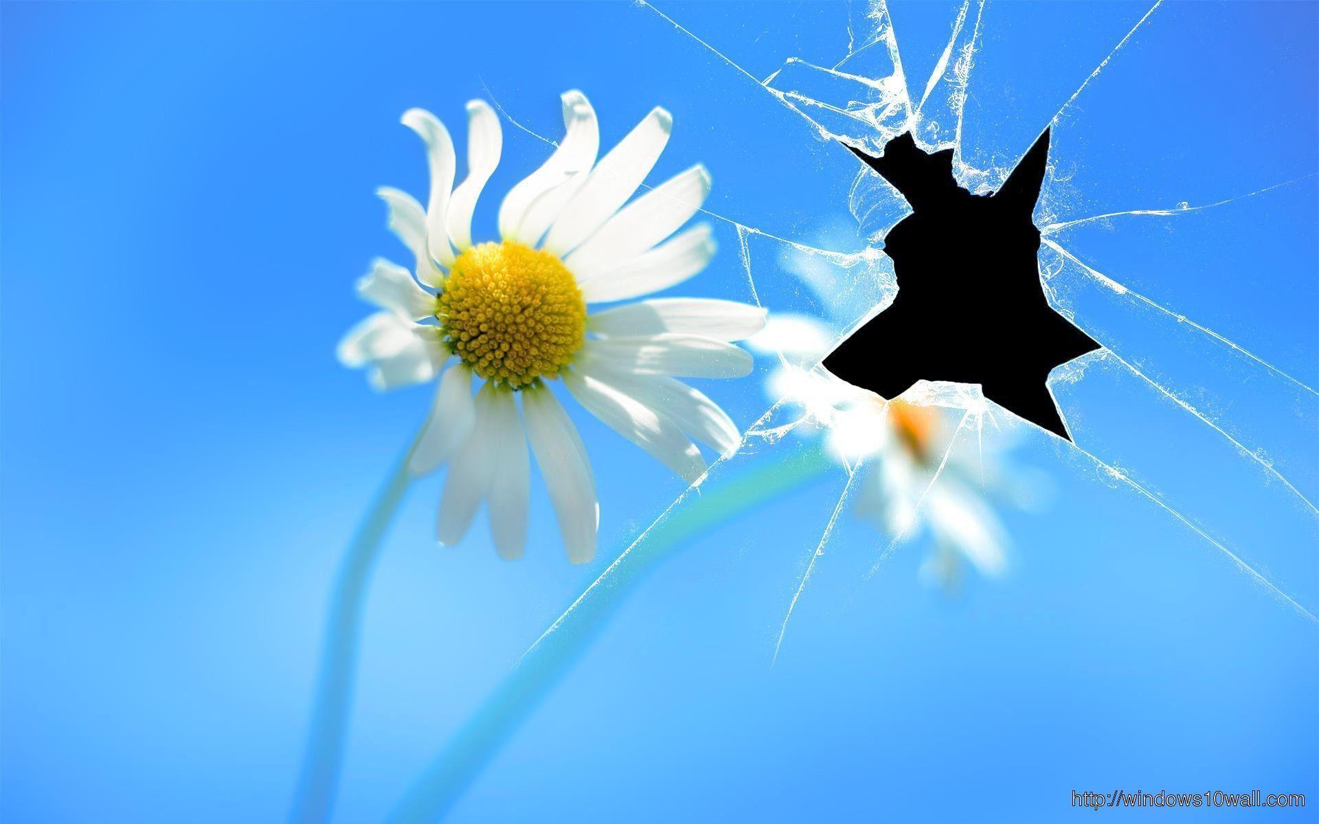 1920x1200 Realistic Broken Computer Screen Wallpaper