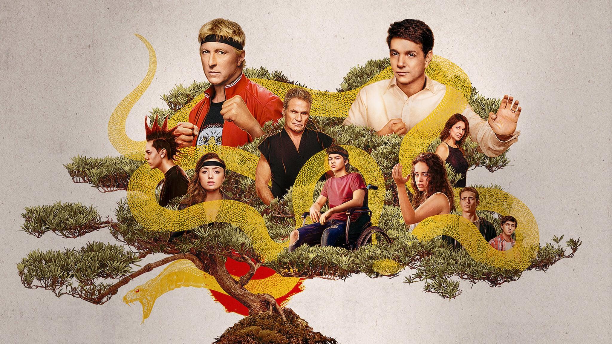 2048x1152 Cobra Kai HD Wallpaper