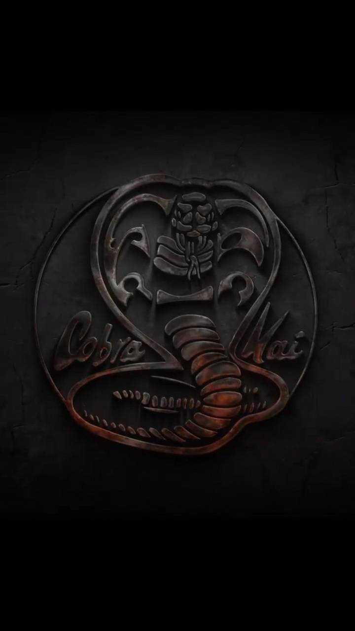 720x1280 Cobra Kai Wallpaper
