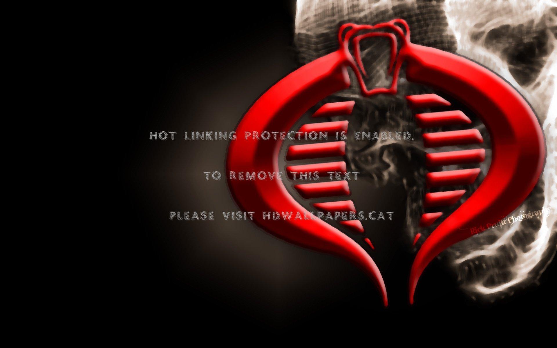 1920x1200 cobra logo / skull gijoe command movies