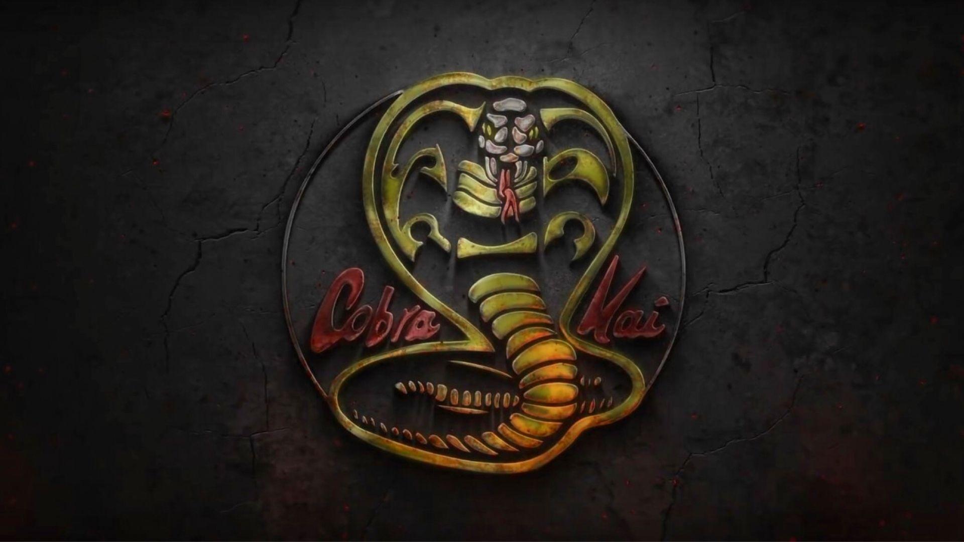 1920x1080 When Will Netflix's Cobra Kai Season 3 Release?. Cobra kai wallpaper, Karate kid cobra kai, Cobra kai dojo