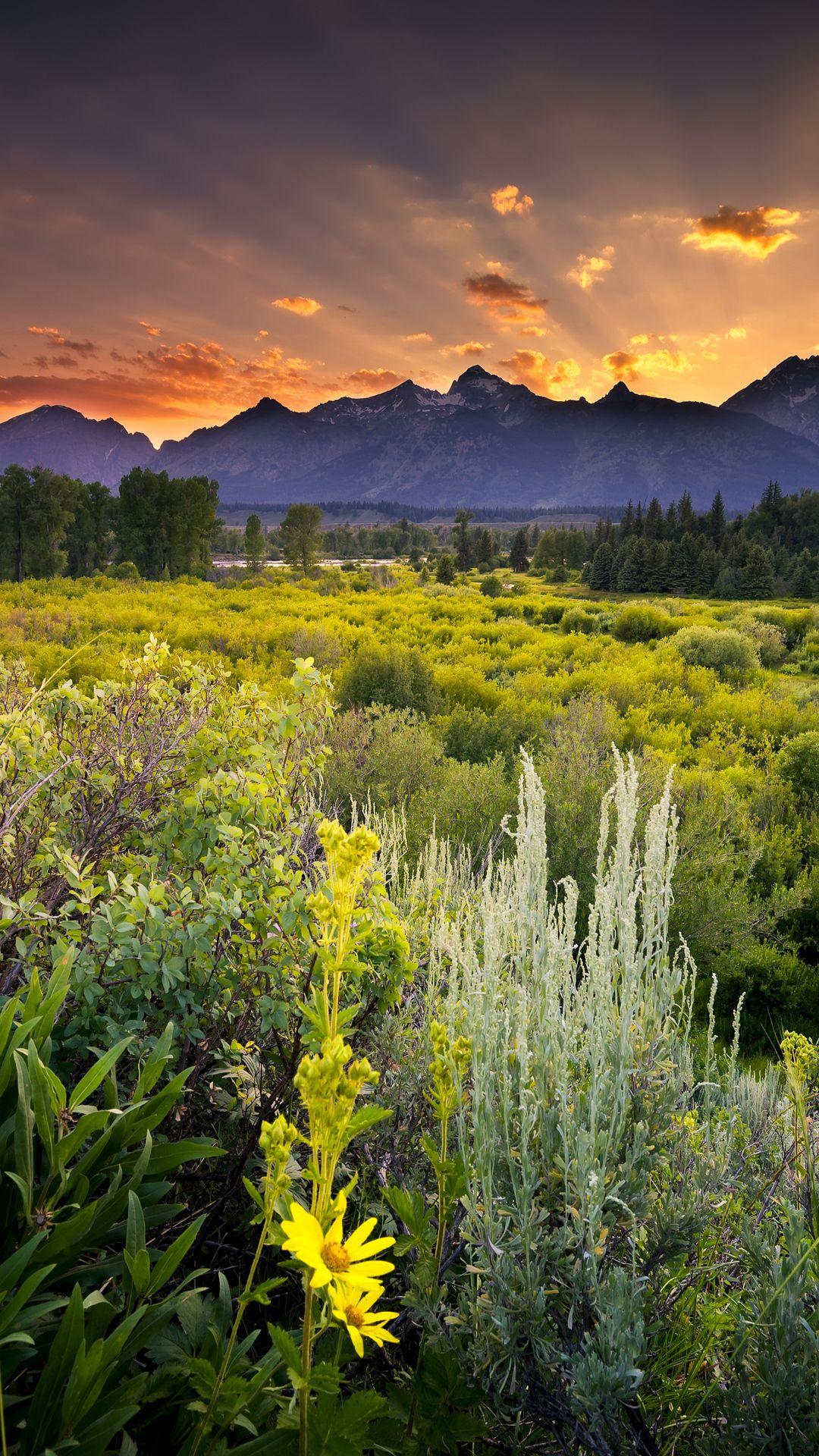 1080x1920 Grand Teton National Park 4K Ultra HD wallpaperk- Beautiful landscapes, Scenery, Sunset landscape