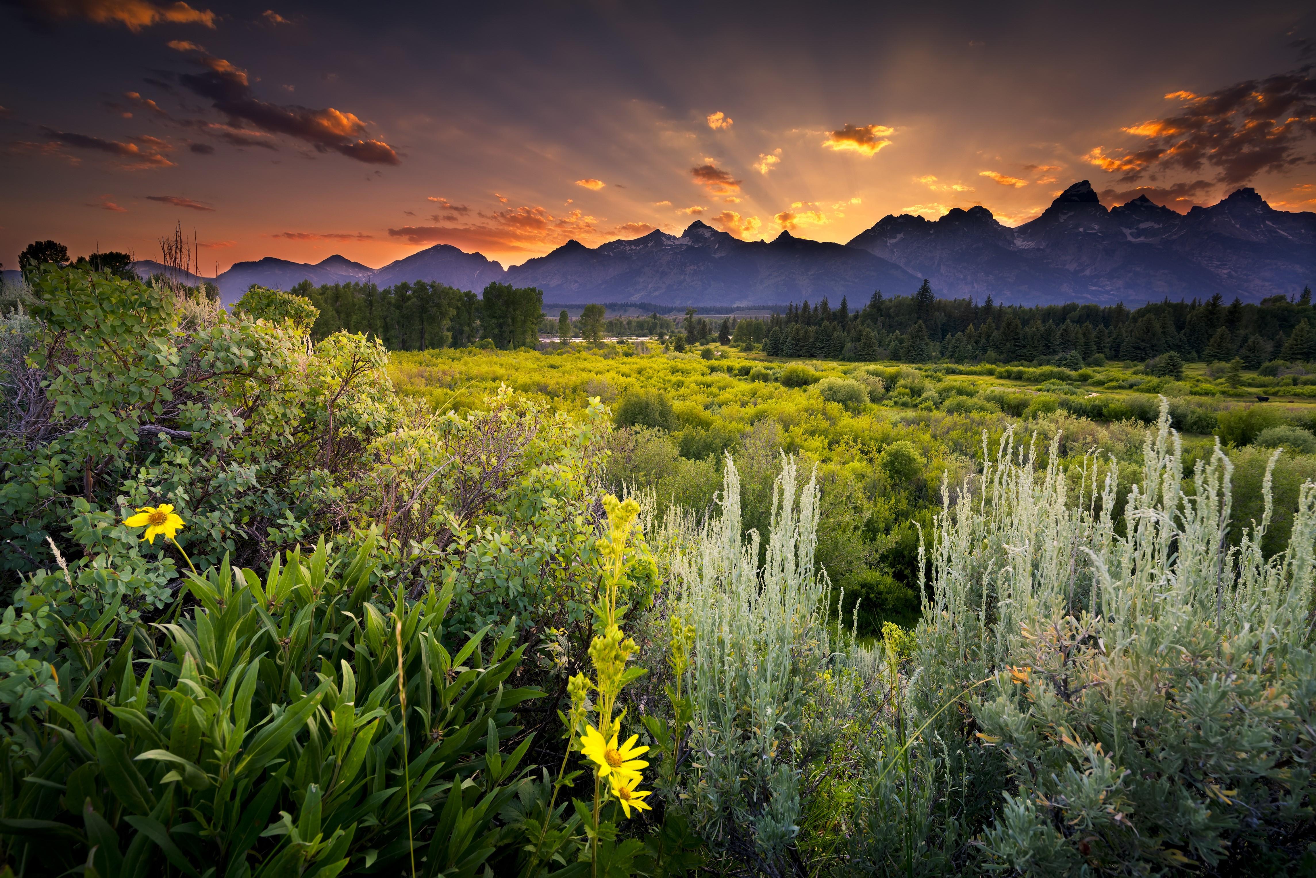 4579x3057 Wyoming Grand Teton HD wallpaper, Background