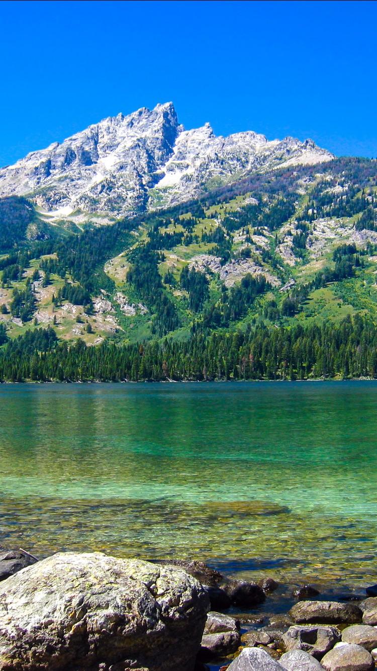 750x1334 Jenny lake Grand Teton national park 4K Wallpaper