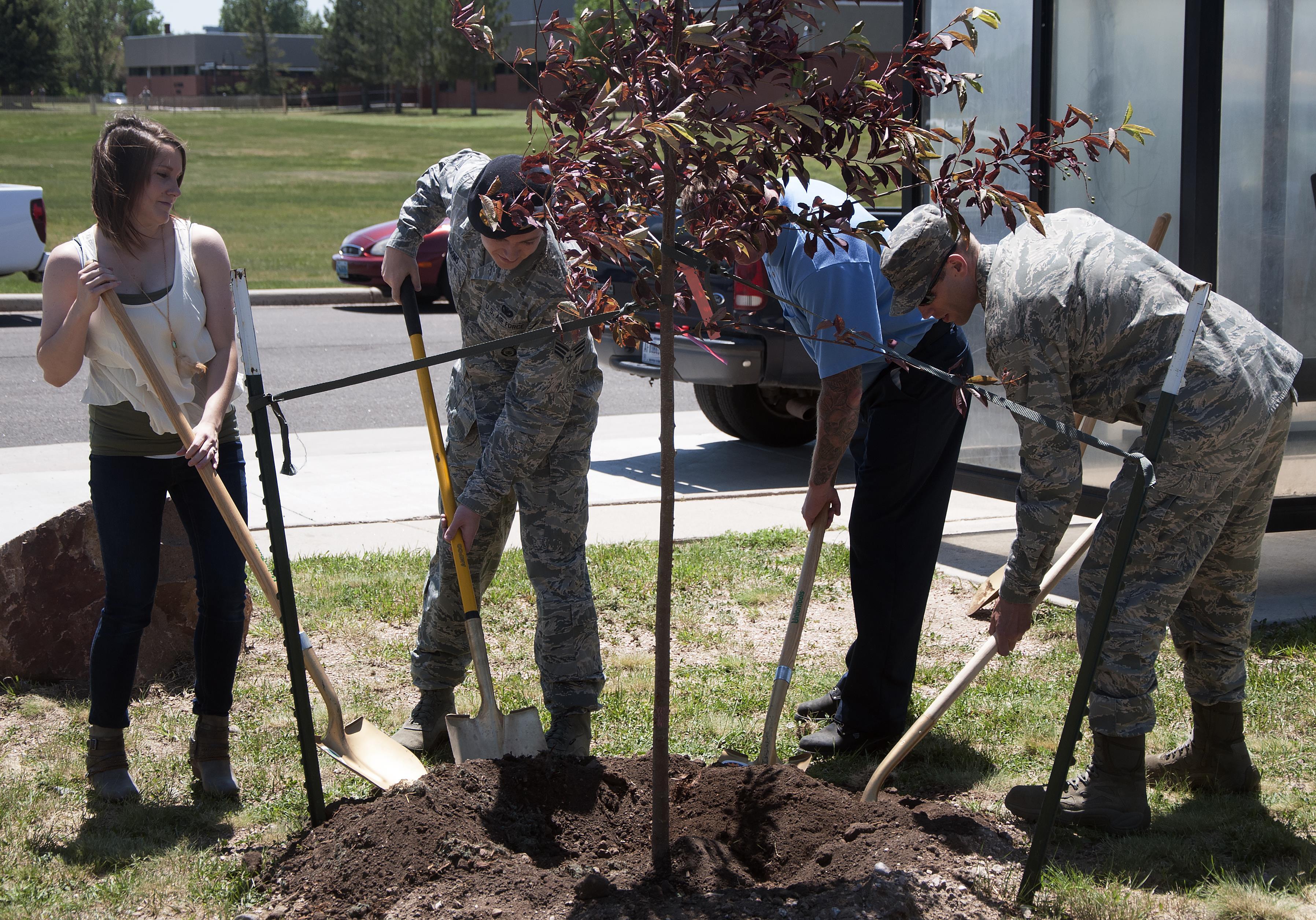 3592x2512 Mighty Ninety committed to preserve environment, planting trees