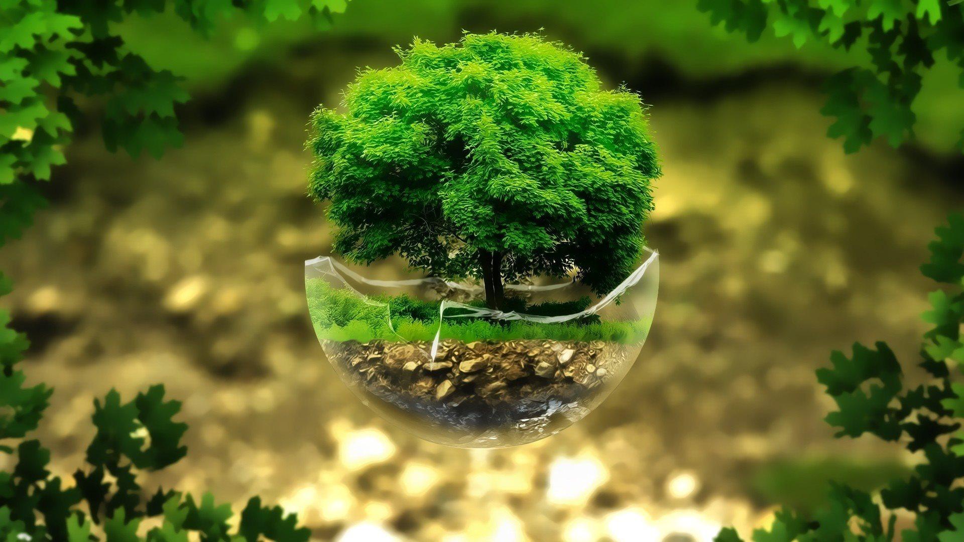 1920x1080 Ecology Wallpaper