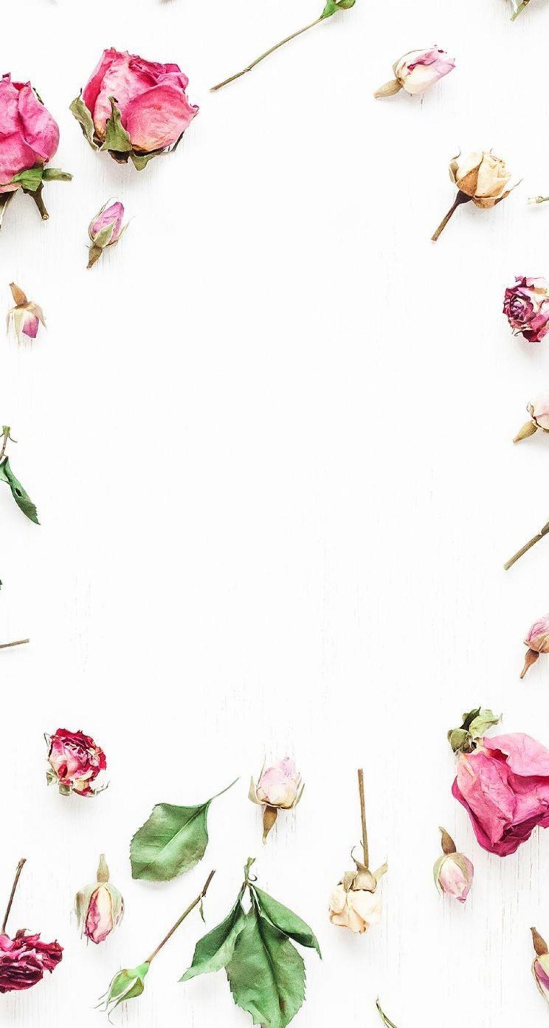 1080x2021 Best Frame and white flowers Wallpaper (8 + Image) / iPhone HD Wallpaper Background Download HD Wallpaper (Desktop Background / Android / iPhone) (1080p, 4k) (1080x2021) (2021)