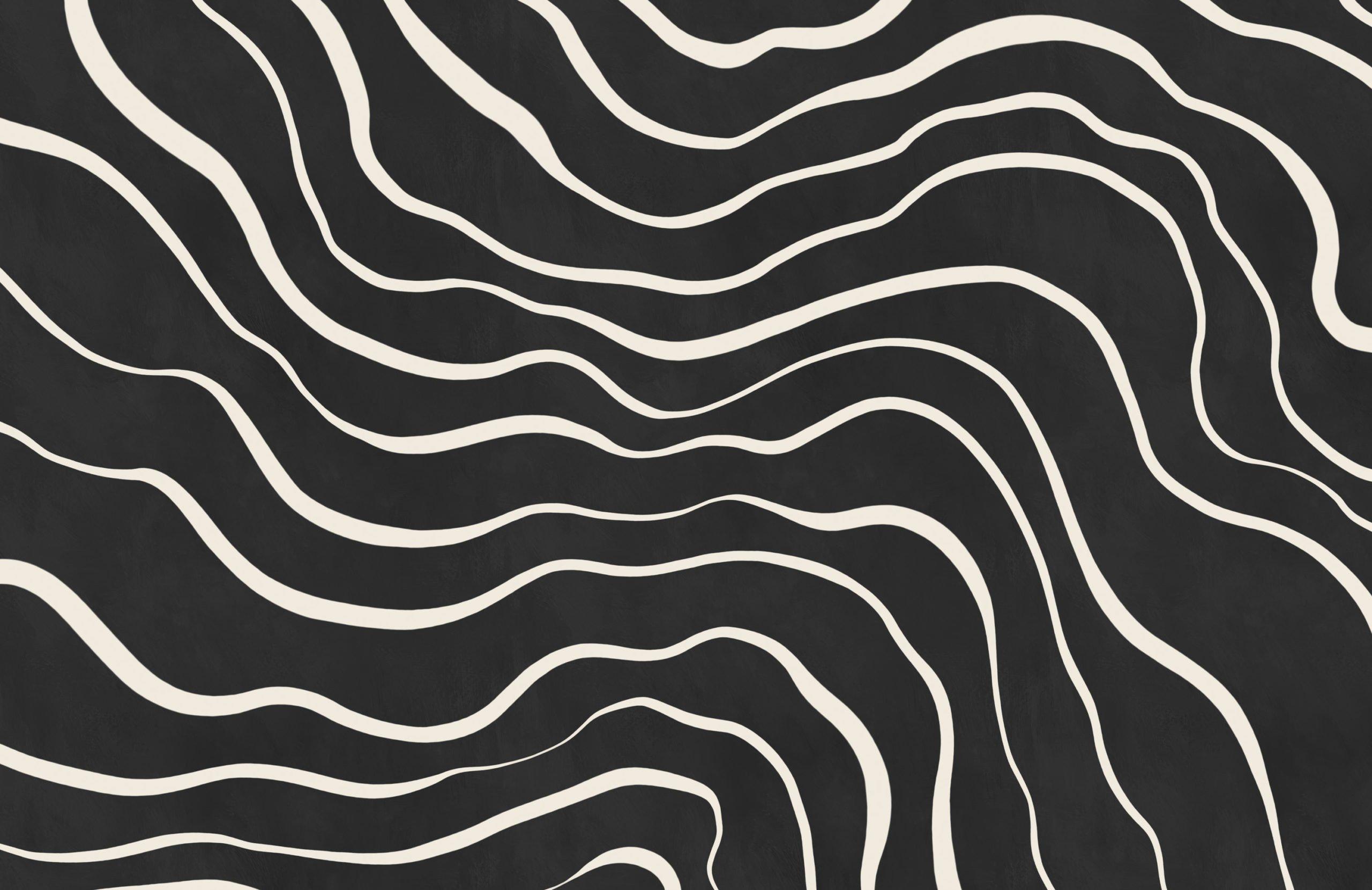 2560x1661 Modern Black & White Lines Wall Mural