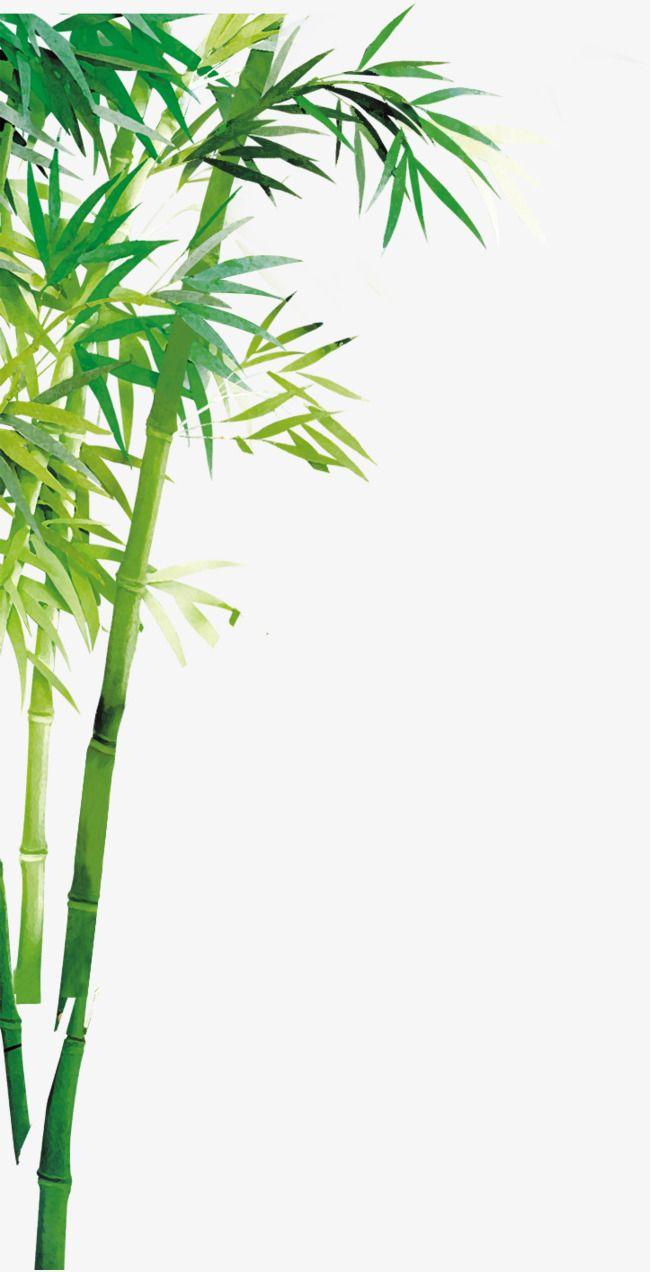 650x1272 Hand Painted Green Bamboo Forest. Bamboo art painting, Bamboo wallpaper, Bamboo art